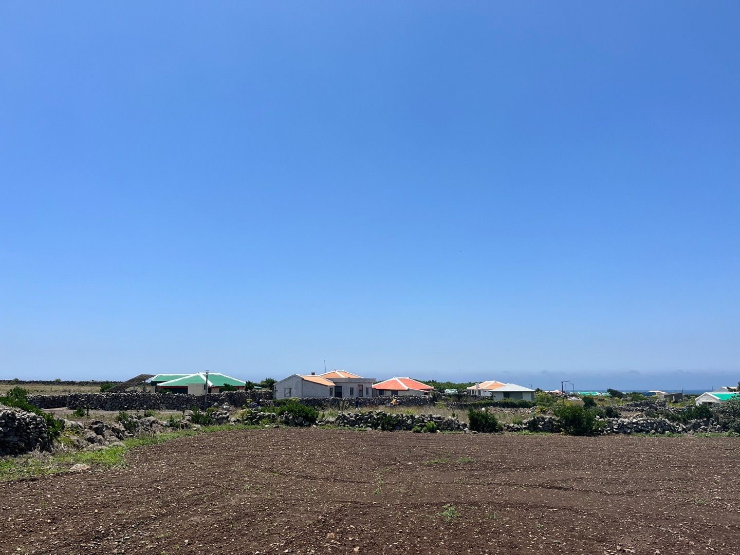 P20220606_154931514_8A221A48-8817-4FA0-9C7E-8E694D07B808