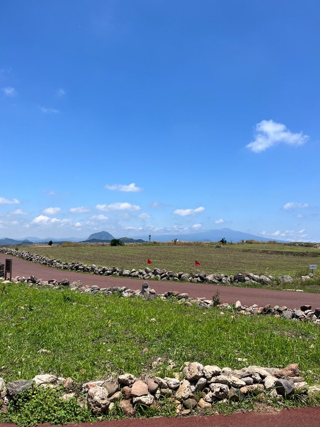 P20220606_154935519_46CD71FC-5A8A-4A55-95F5-F2F170732C09