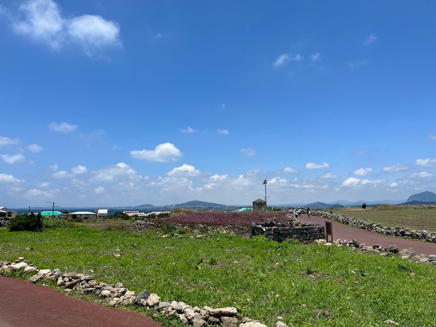 P20220606_154935751_45591A6A-5664-49CD-B984-61E892A1EDFA