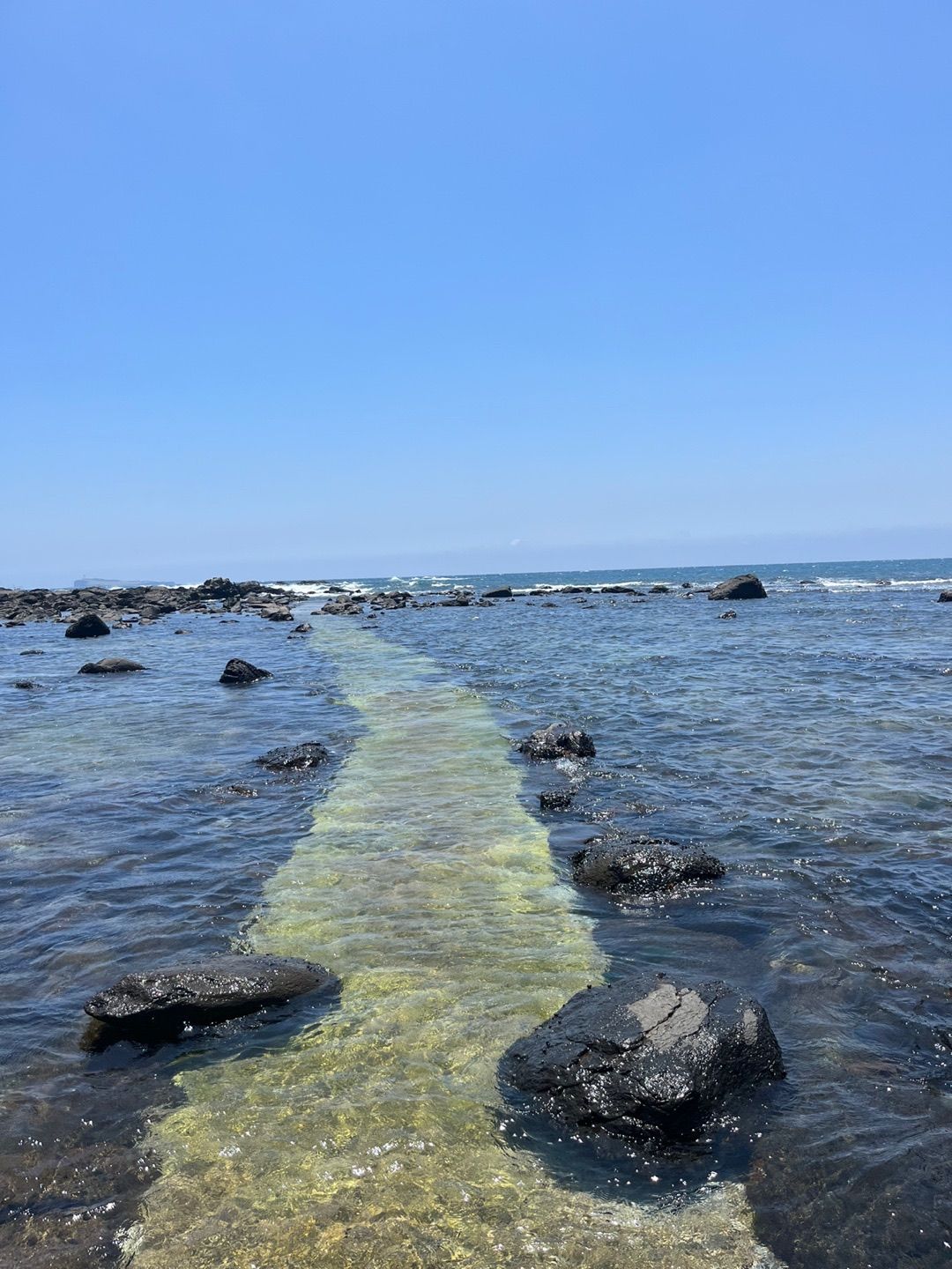 P20220606_154937901_0CE52782-DFD3-40AE-8E73-6CE32C909EE1