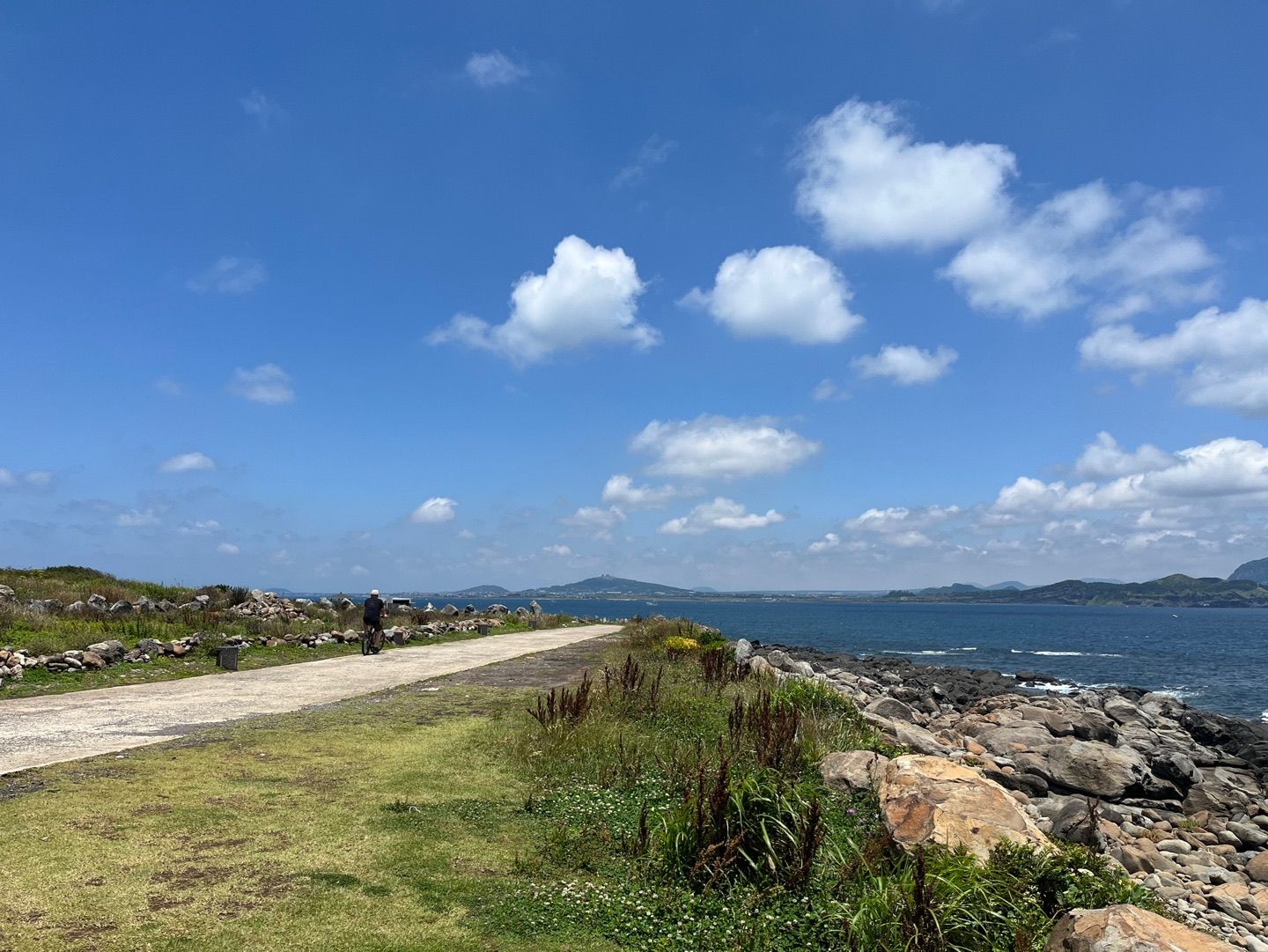 P20220607_220305362_E3C34BD9-19FC-4359-A36F-8BC4C989F327