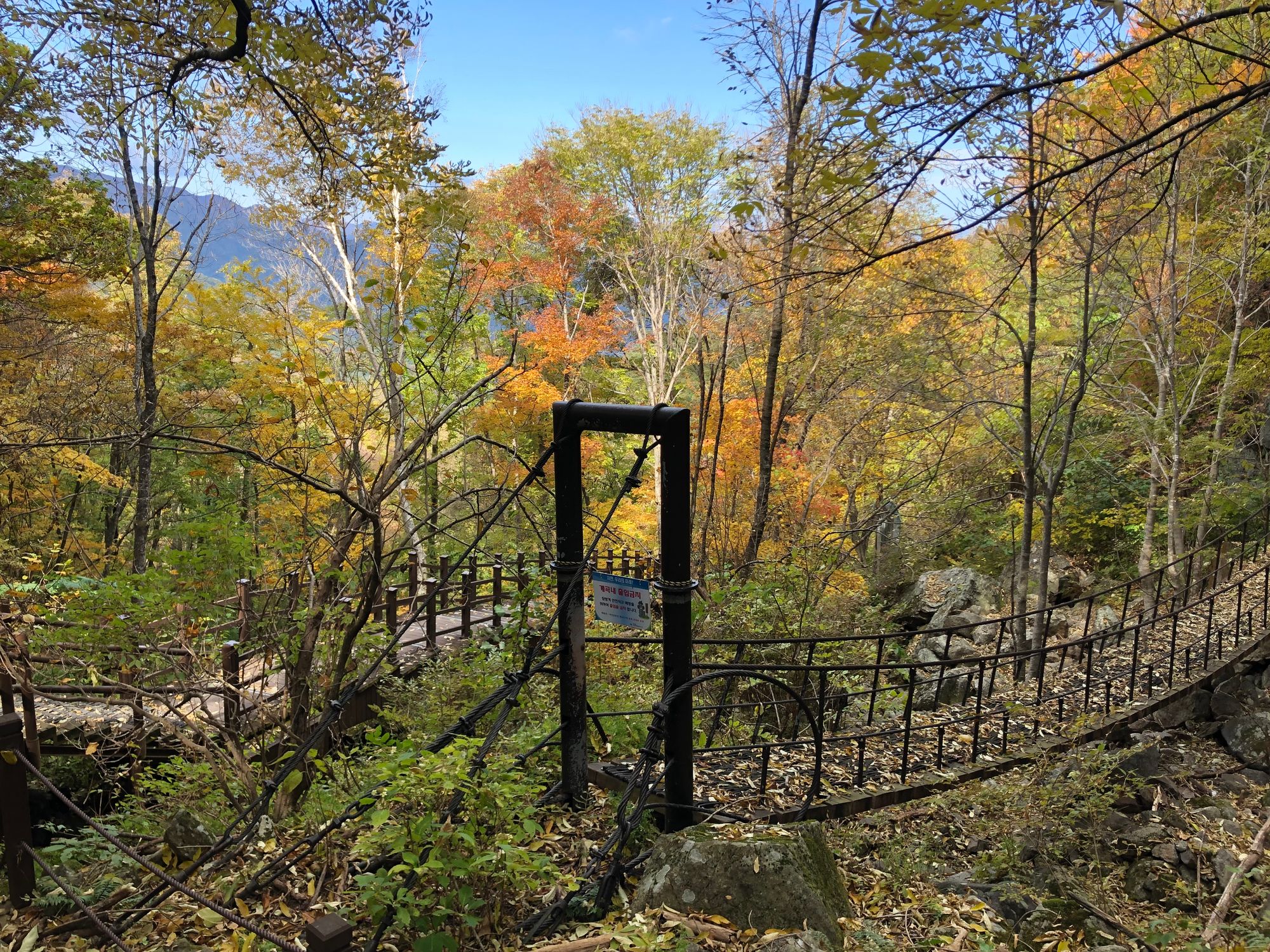 지리산 (중산리-백무동)