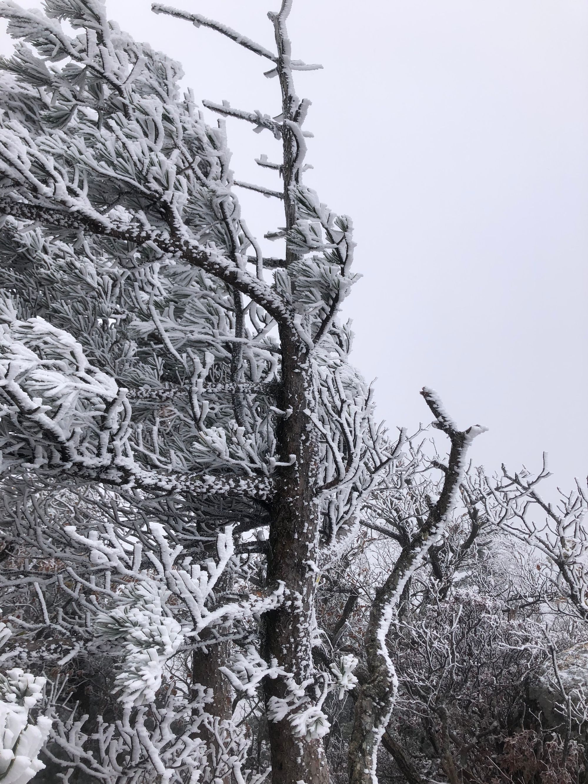 설악산 첫눈 산행