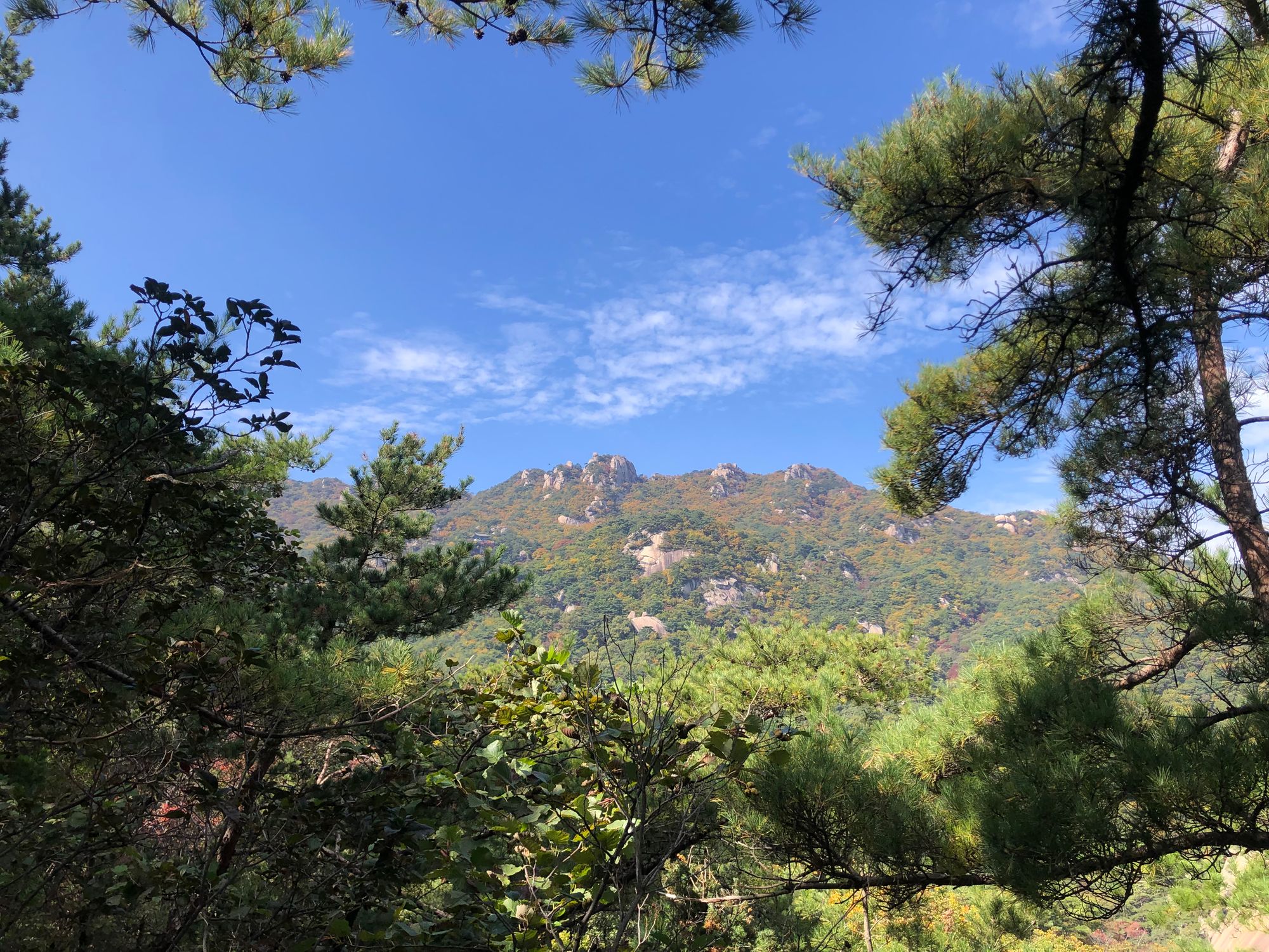 도봉산 다락 능선