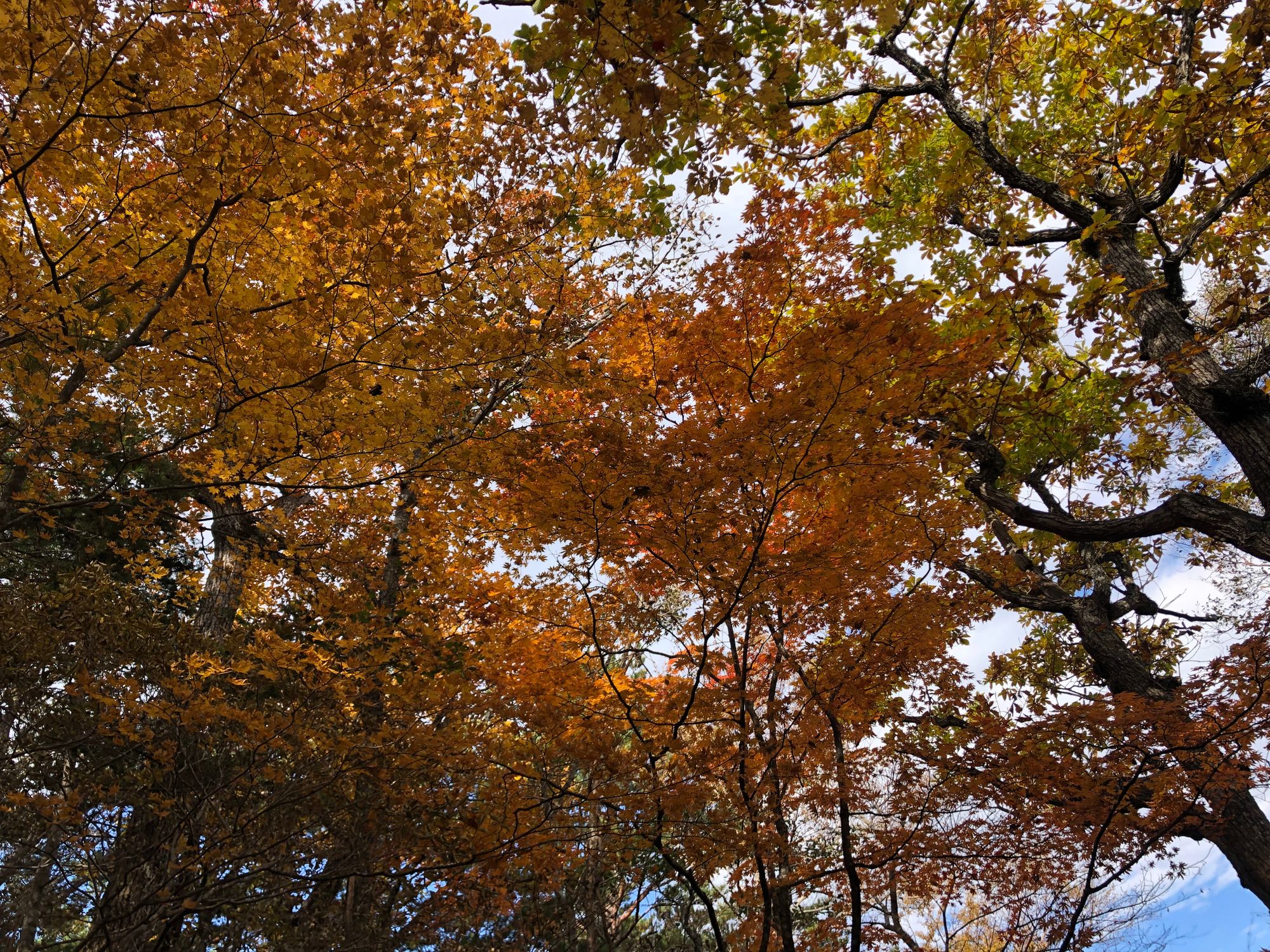 지리산 (중산리-백무동)