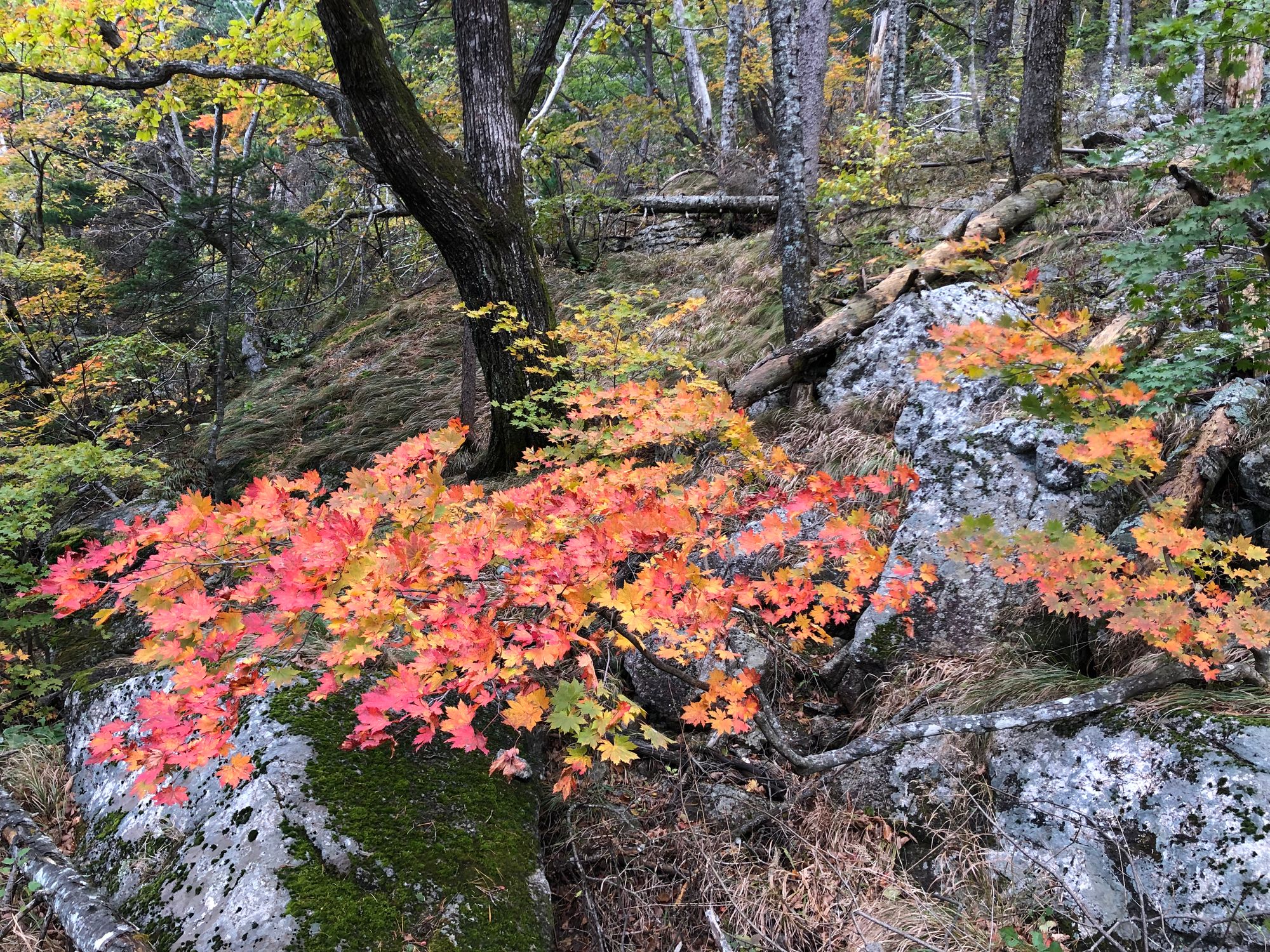 설악산 첫눈 산행