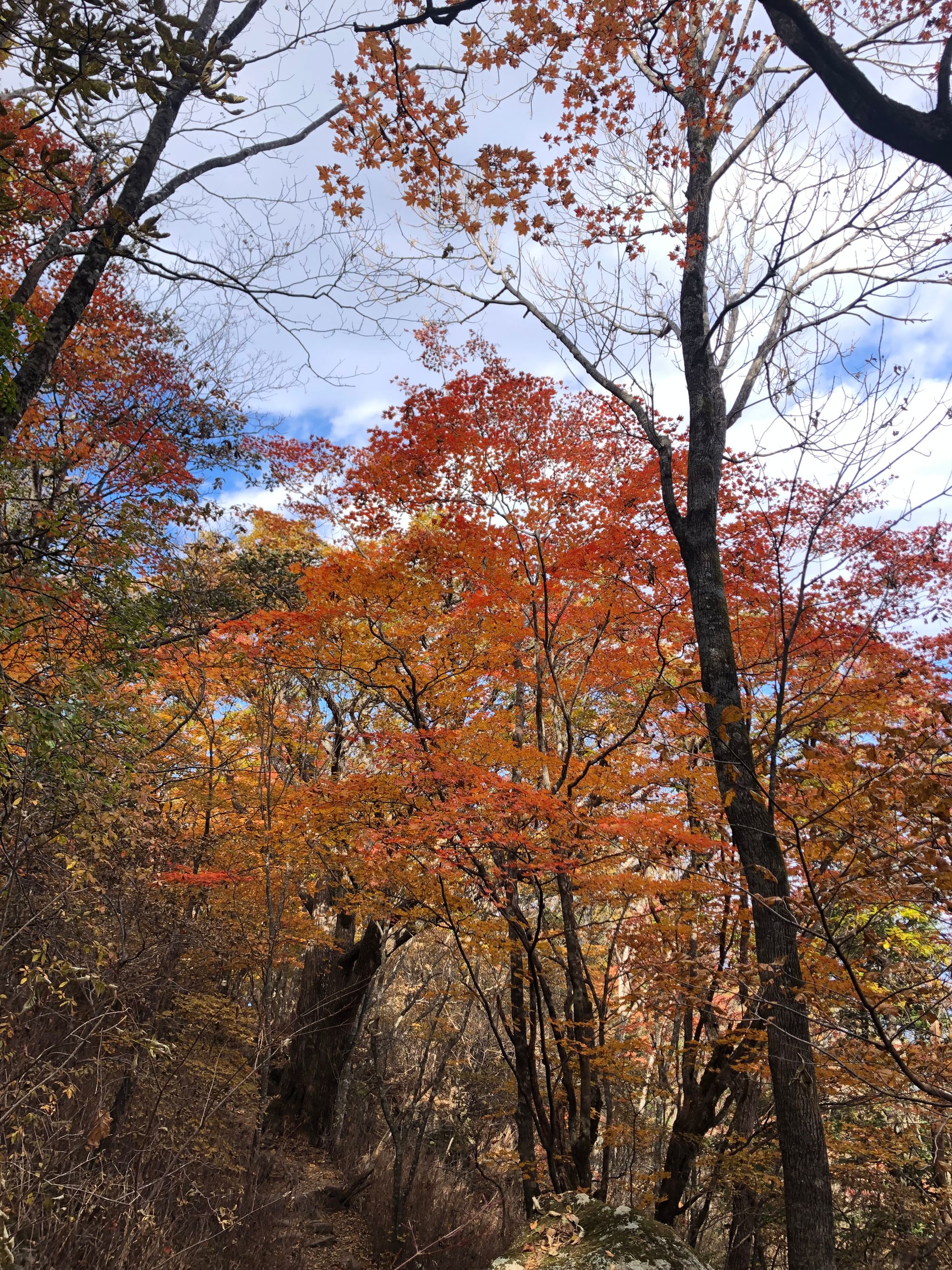 지리산 (중산리-백무동)