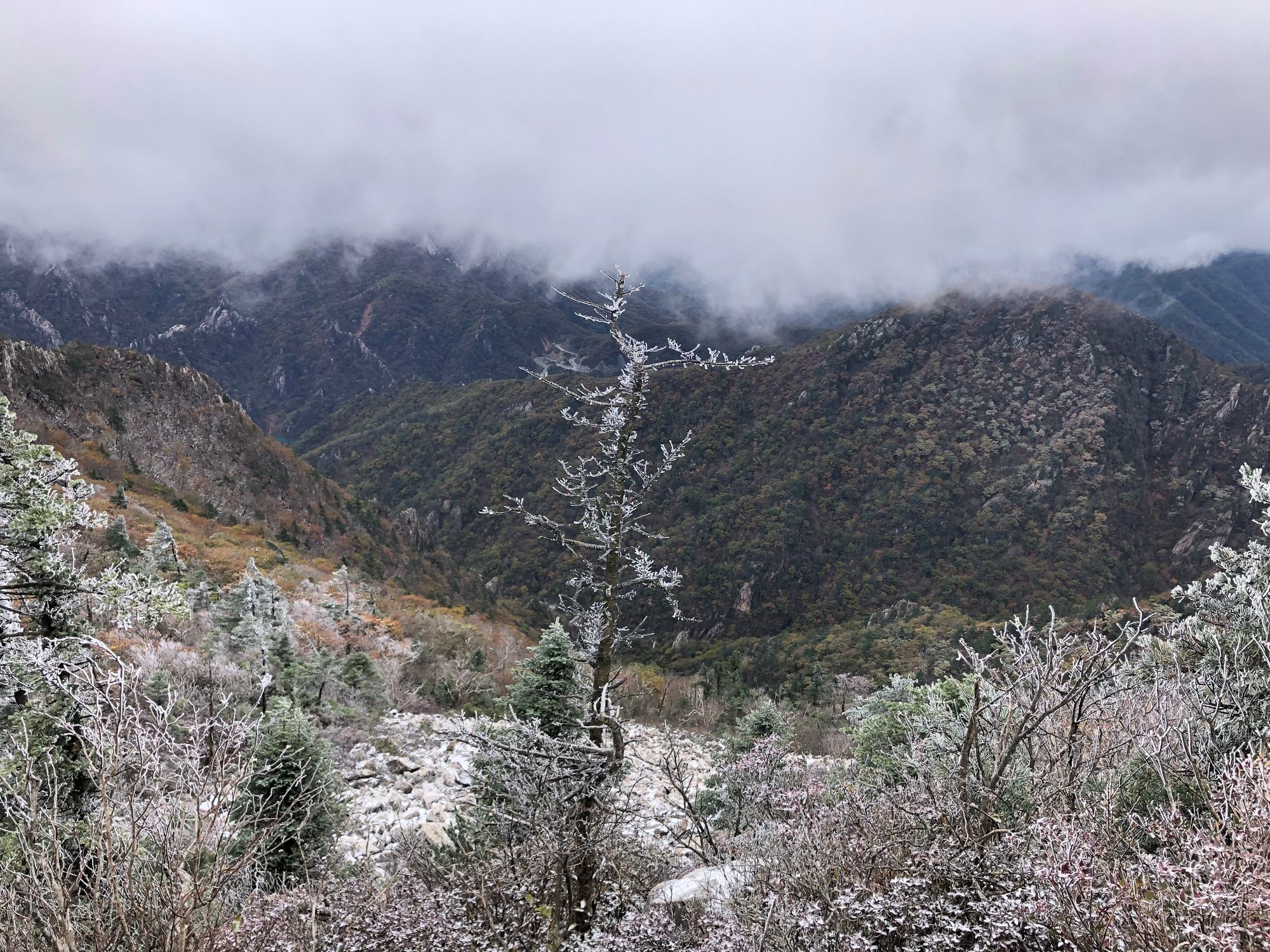 설악산 첫눈 산행
