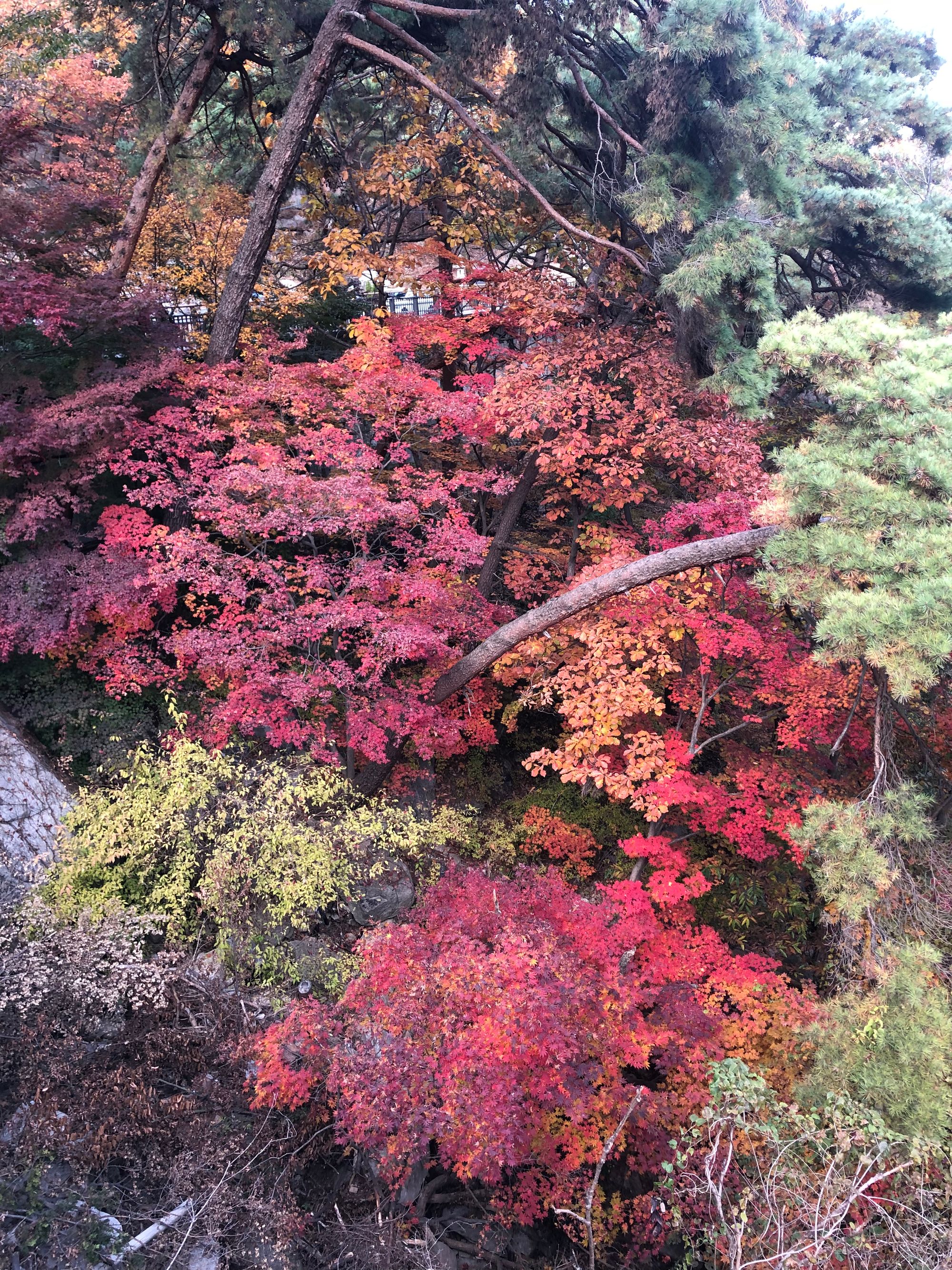 북한산 의상능선