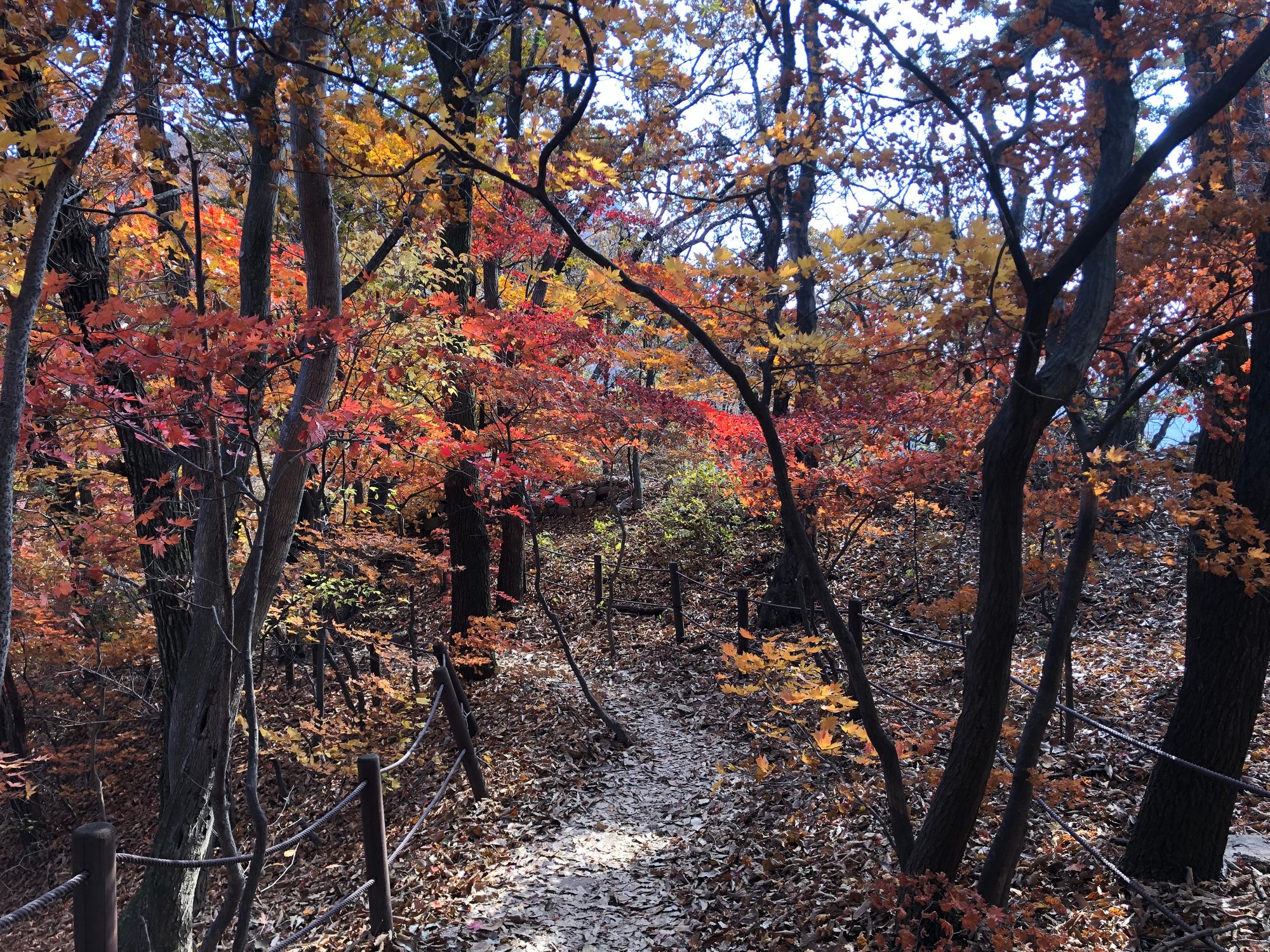 북한산 의상능선