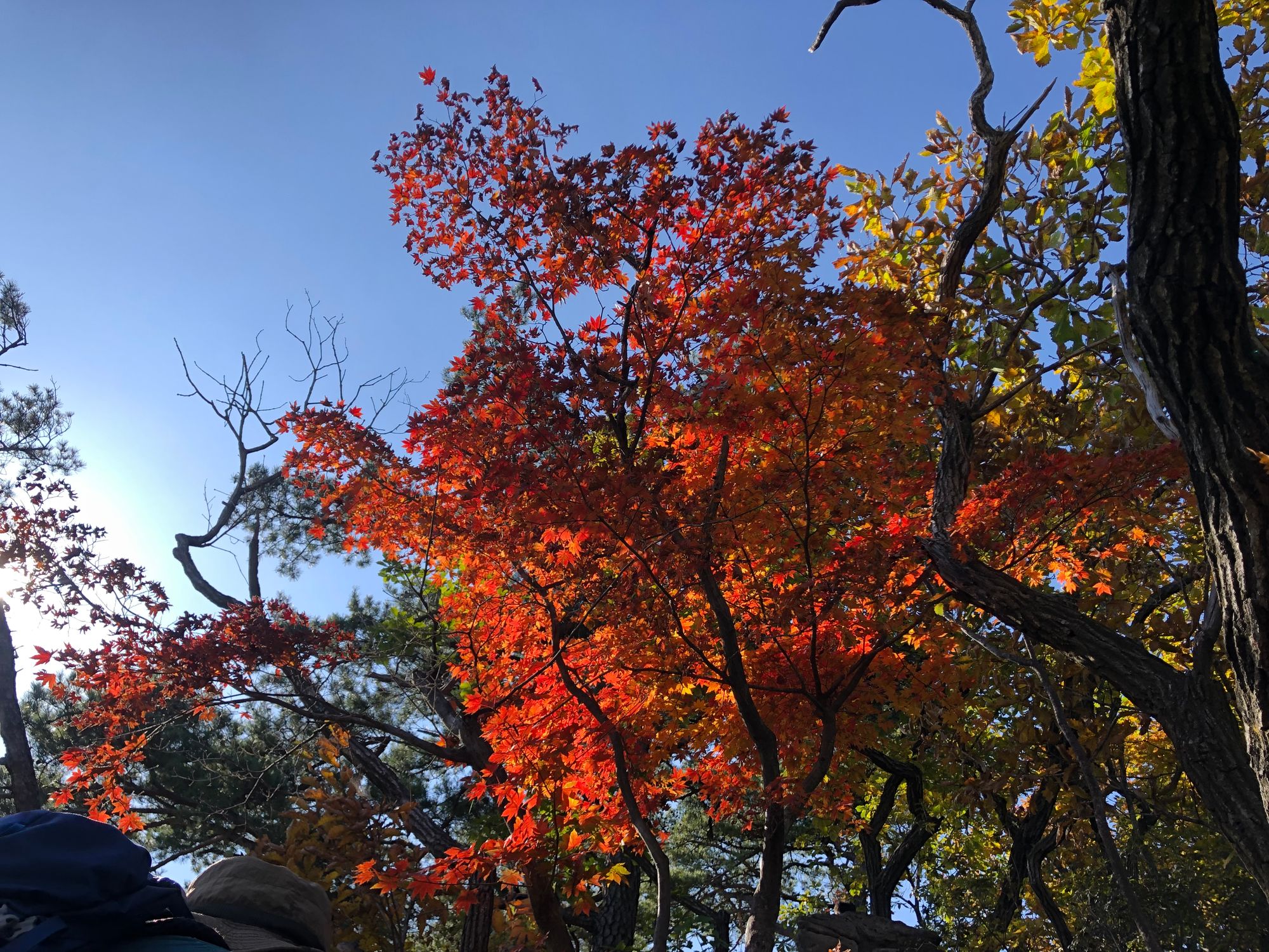 도봉산 다락 능선