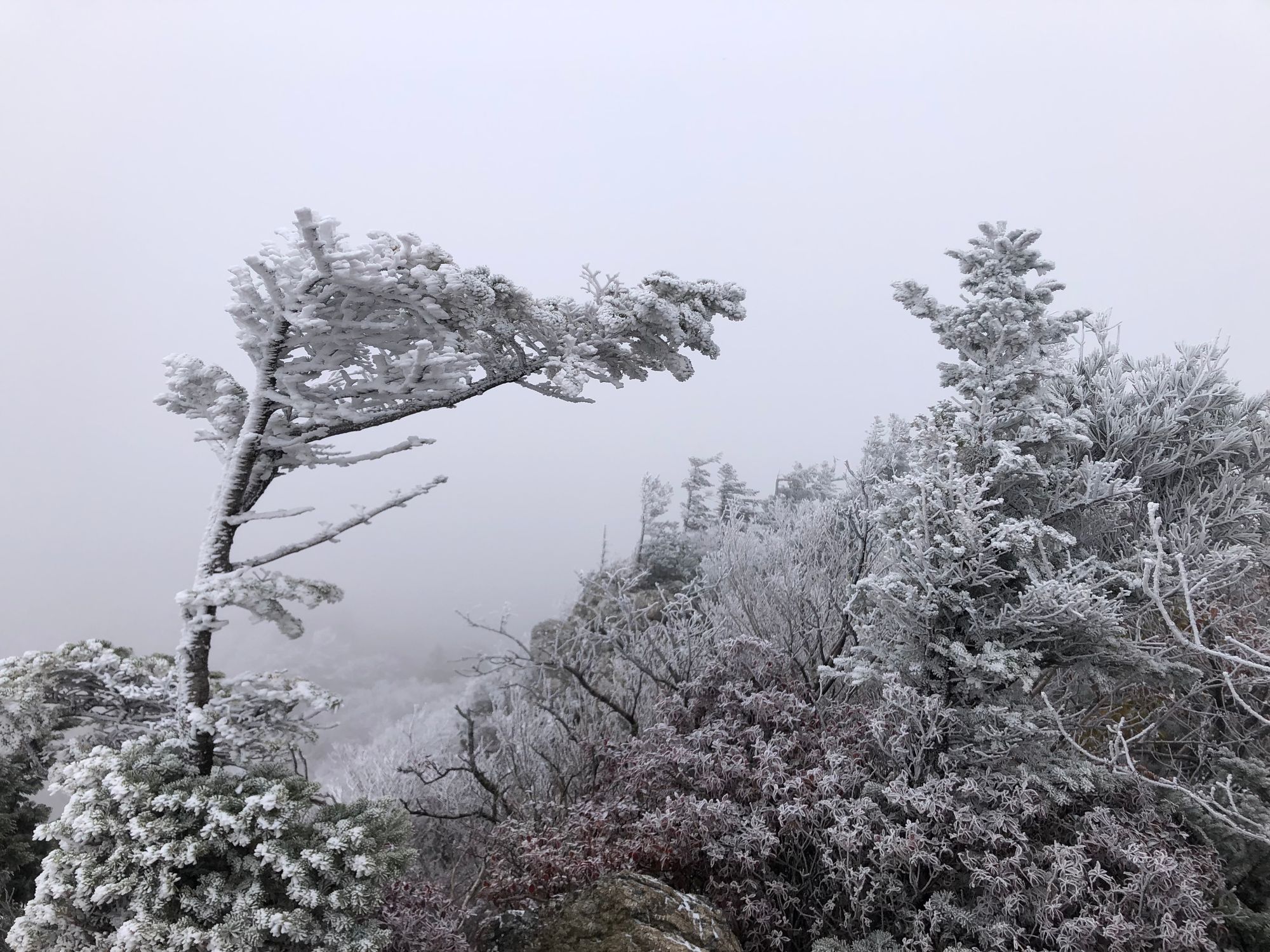 설악산 첫눈 산행