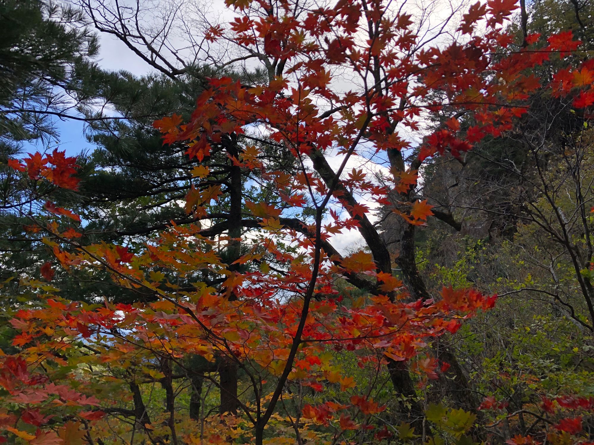 설악산 첫눈 산행