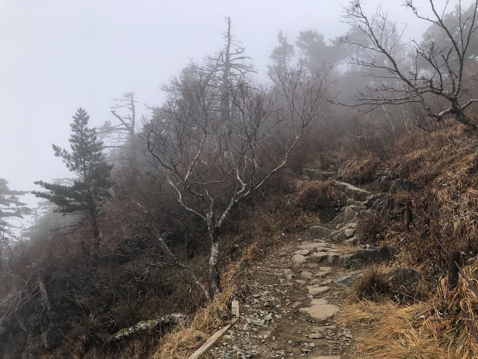 지리산 (중산리-백무동)