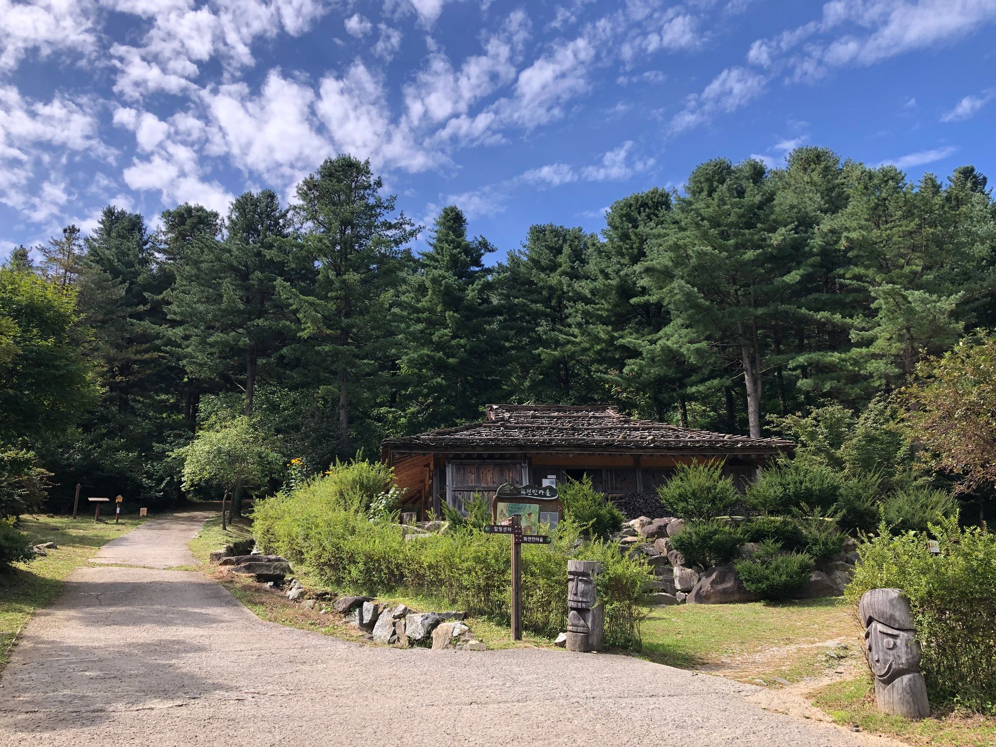 축령산 잣나무 숲