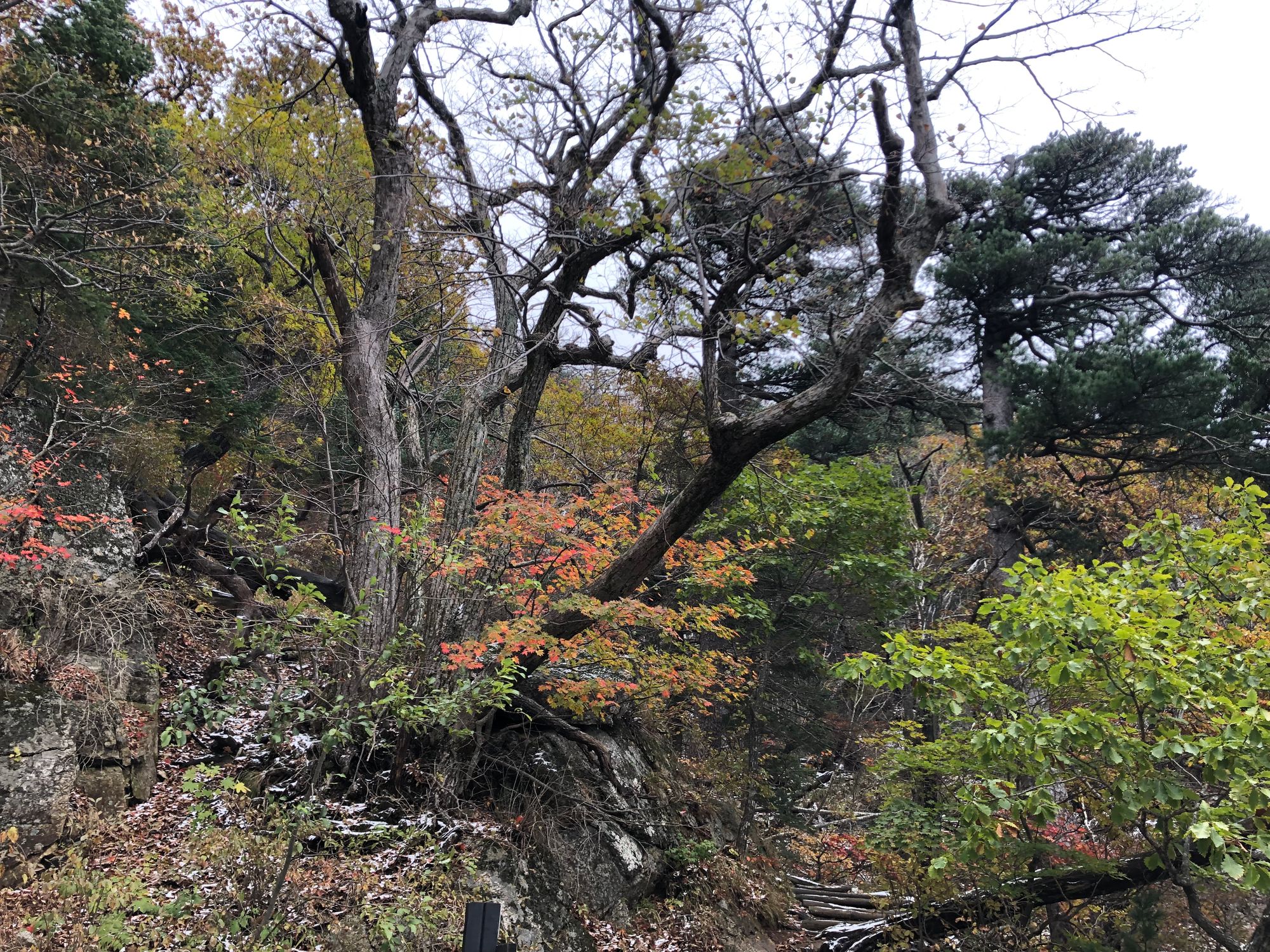 설악산 첫눈 산행