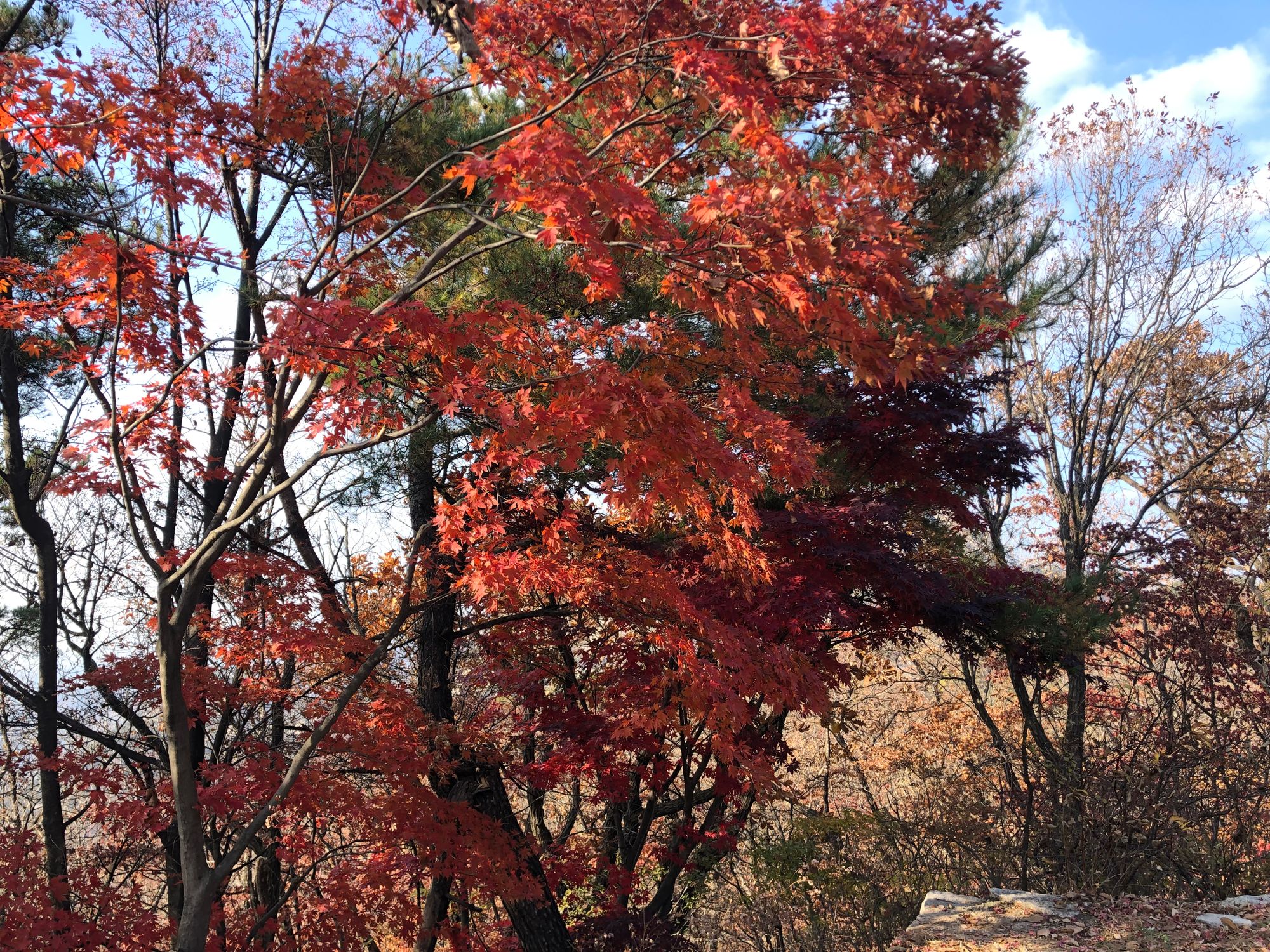 북한산 의상능선