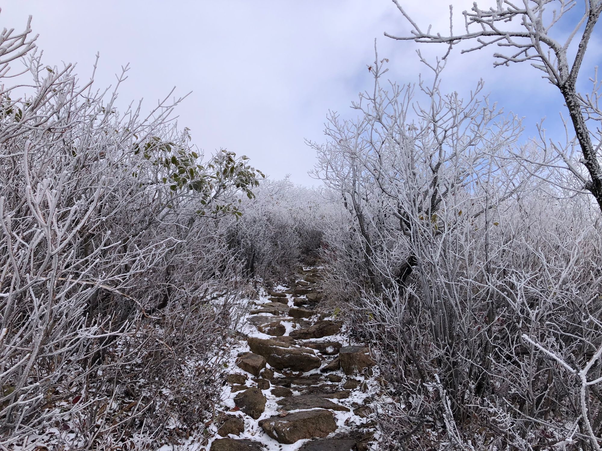 설악산 첫눈 산행