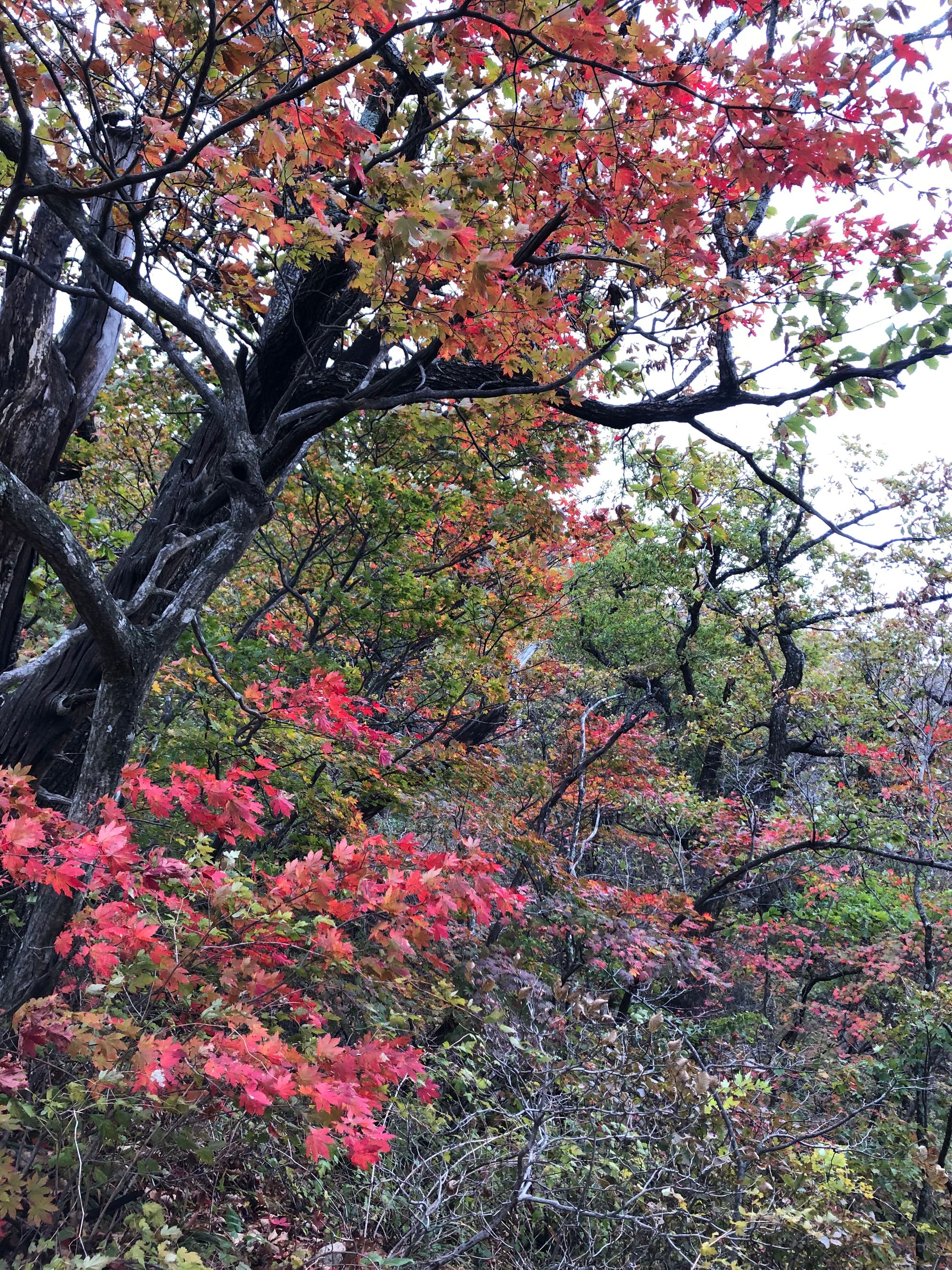 설악산 첫눈 산행