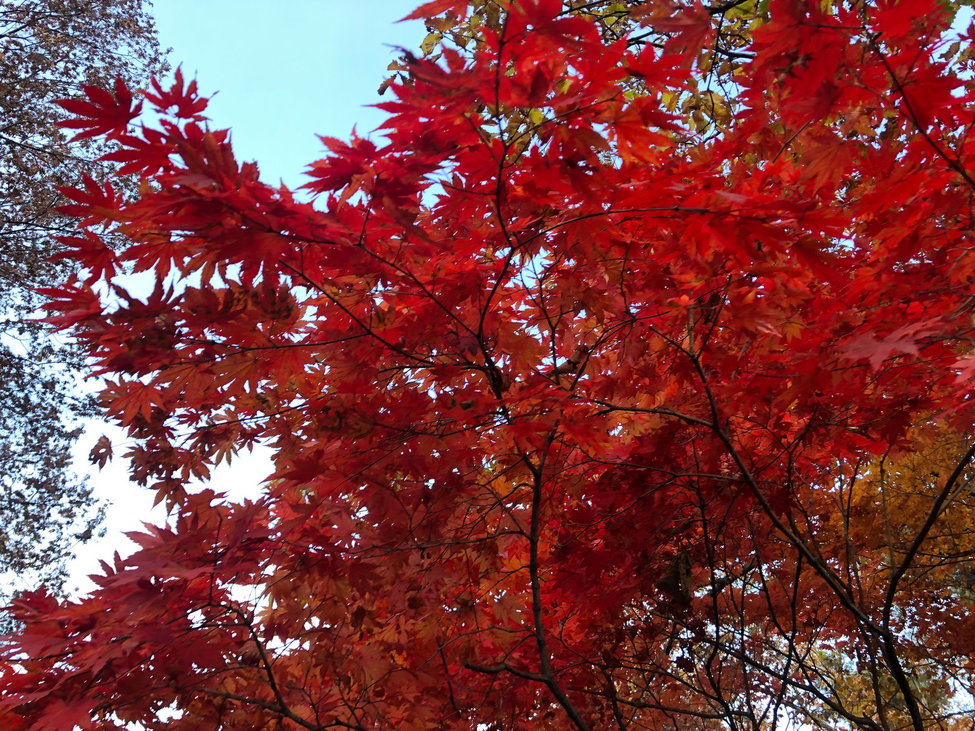 북한산 의상능선