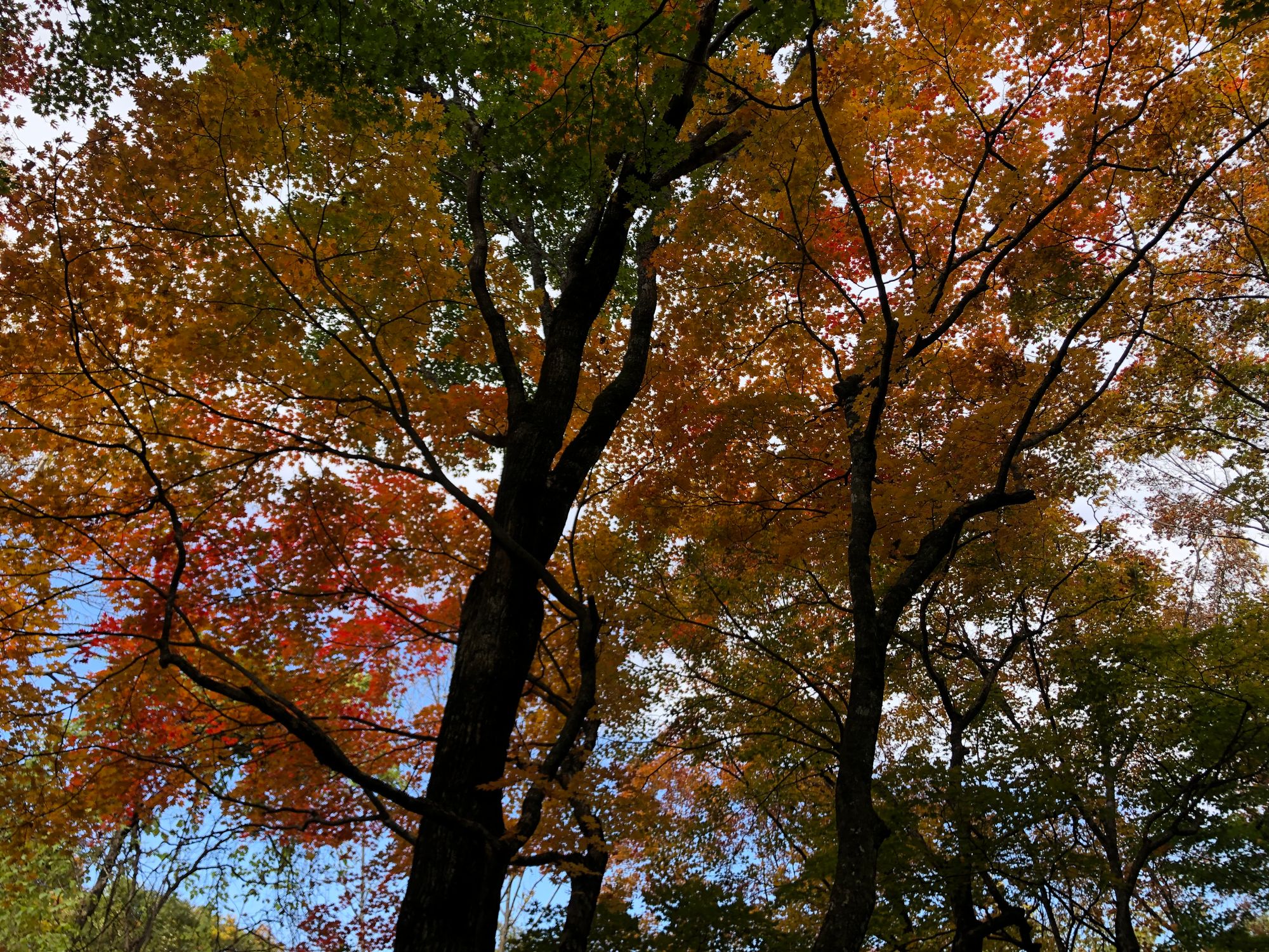 지리산 (중산리-백무동)