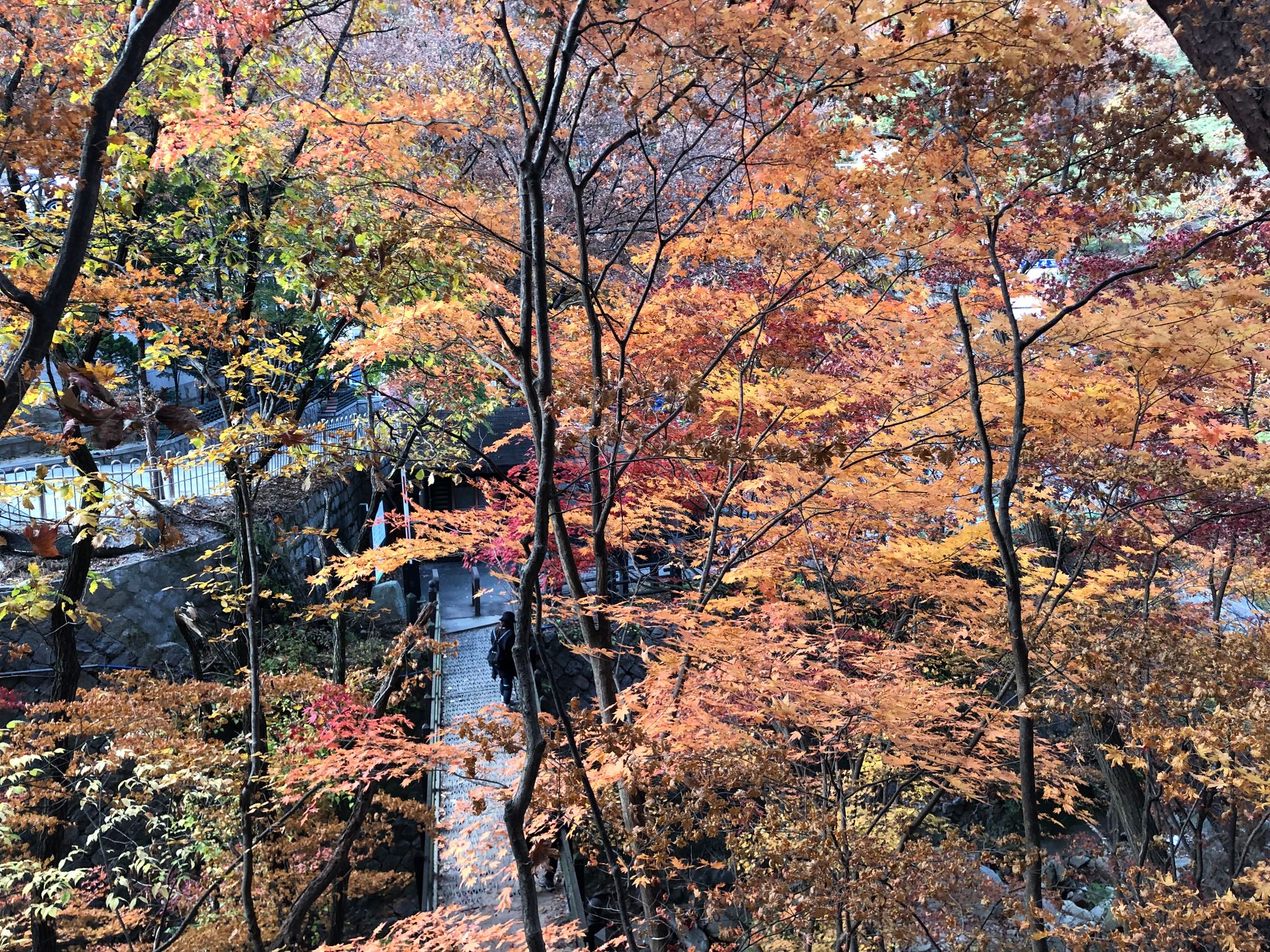 북한산 의상능선