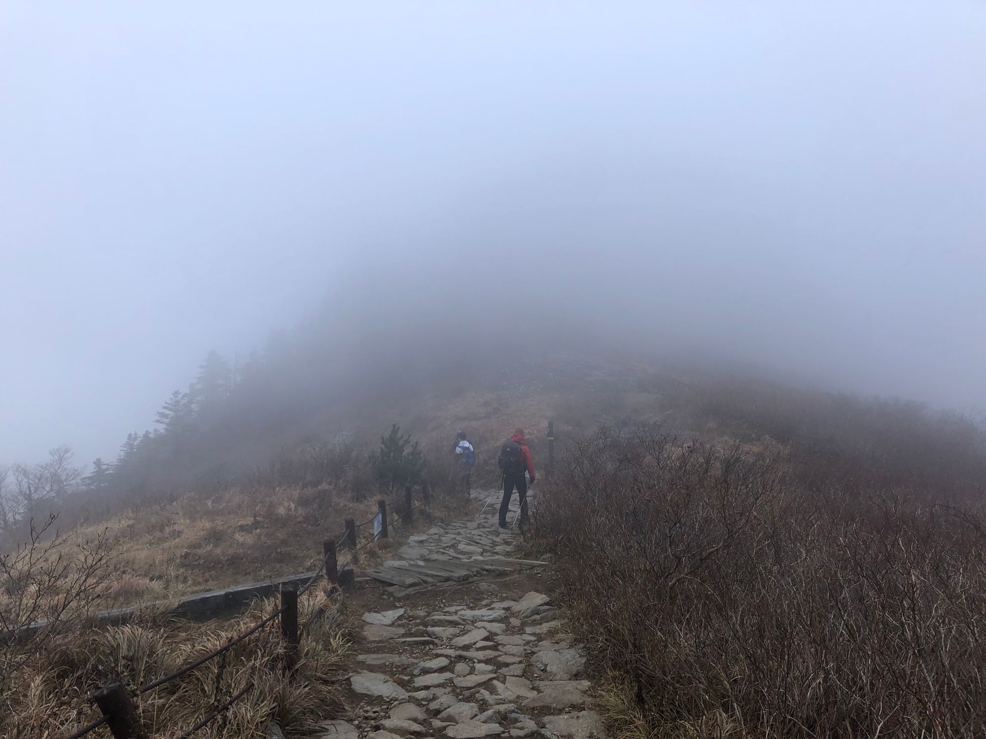 지리산 (중산리-백무동)