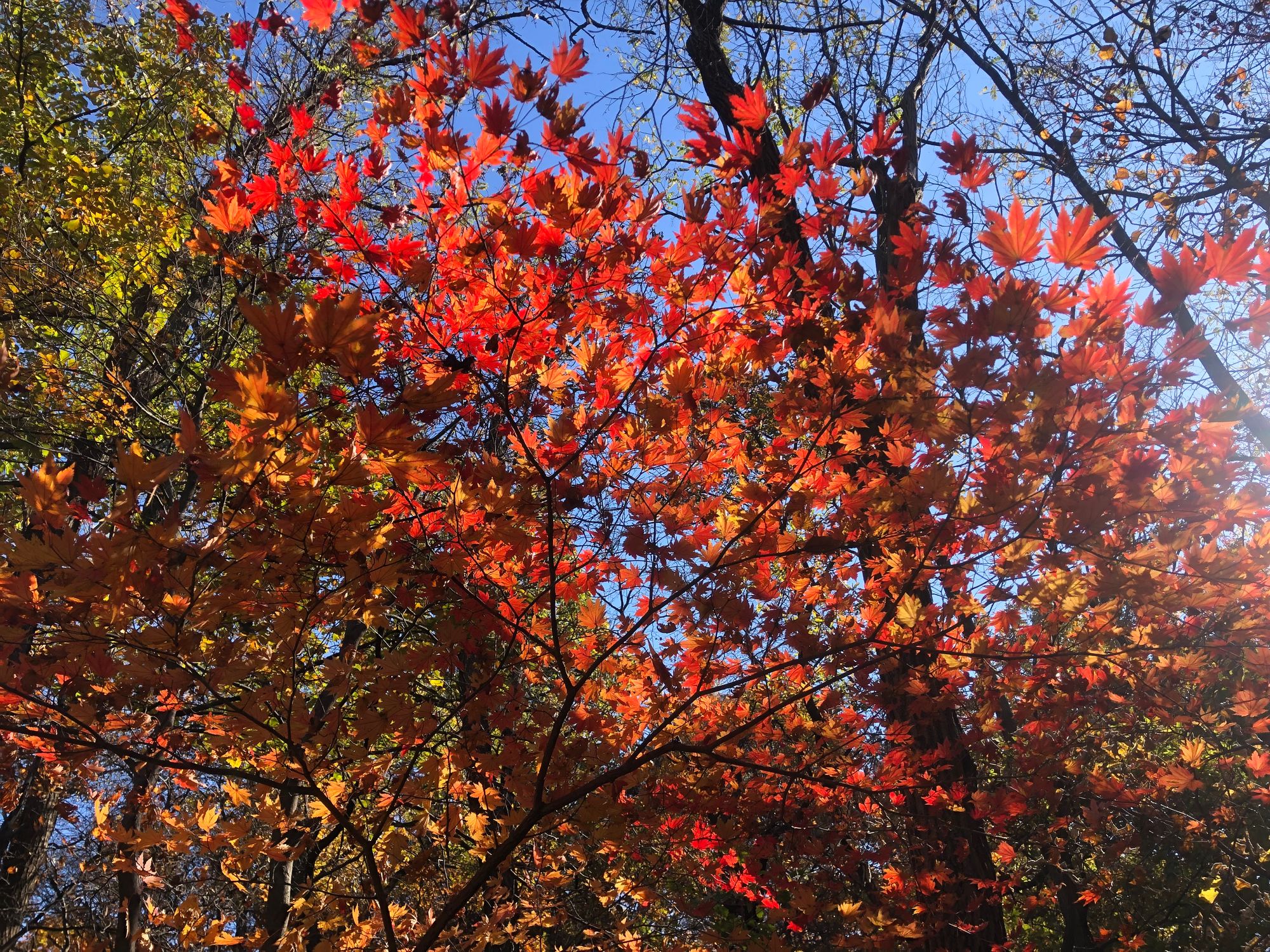 구대인(구룡산-대모산-인능산)