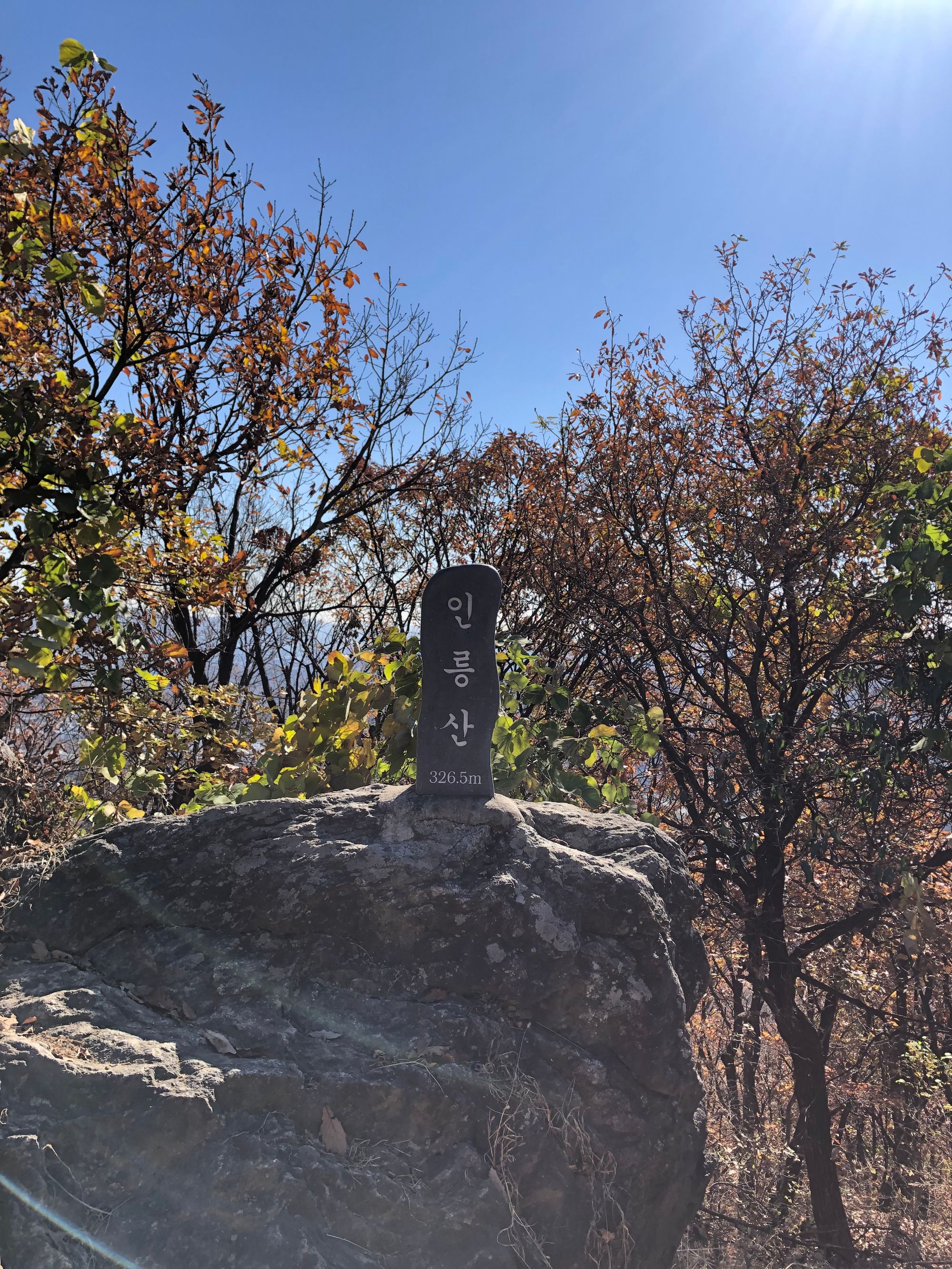 구대인(구룡산-대모산-인능산)