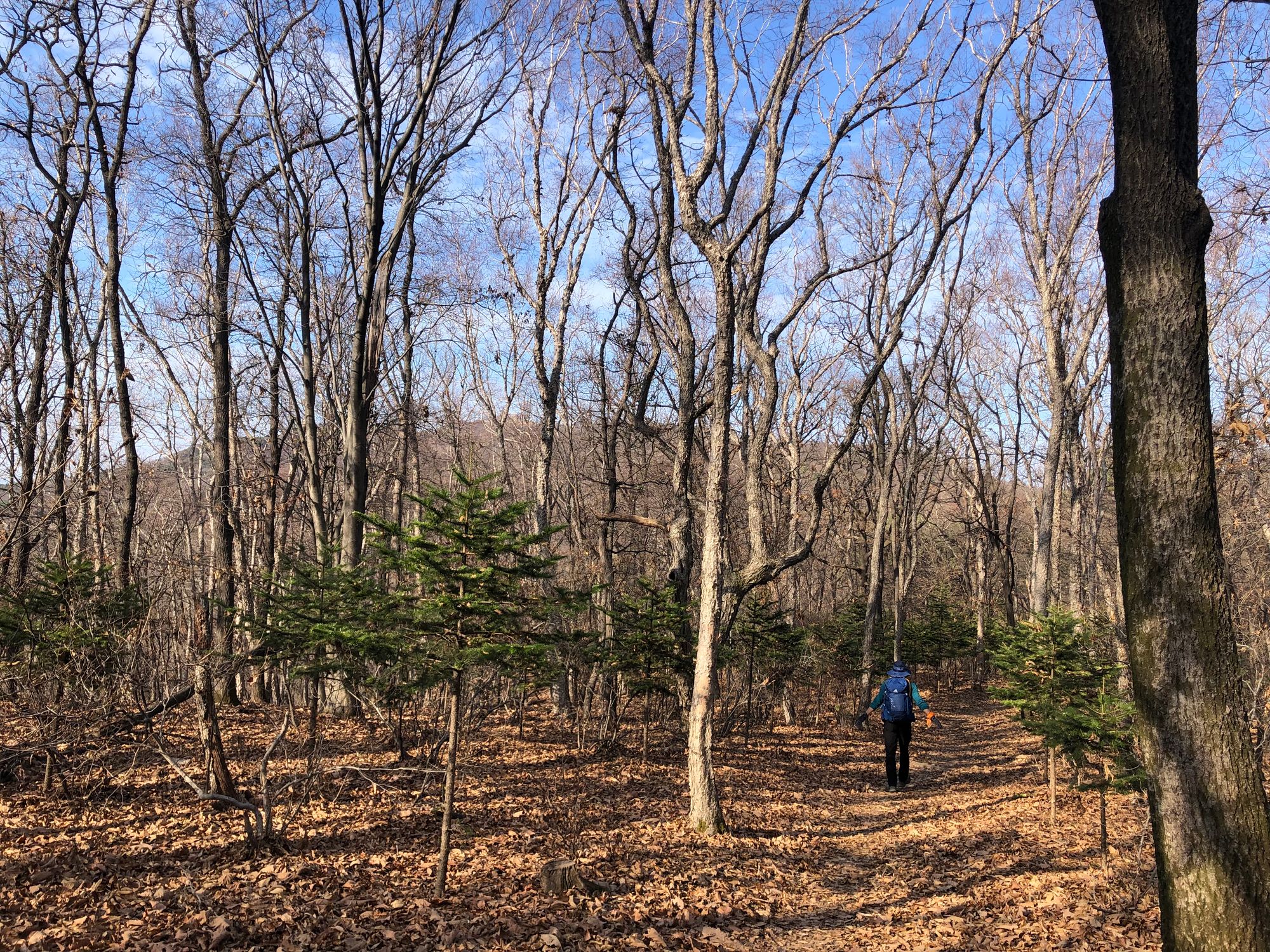 걷기 좋은 길 - 영장산에서 남한산성
