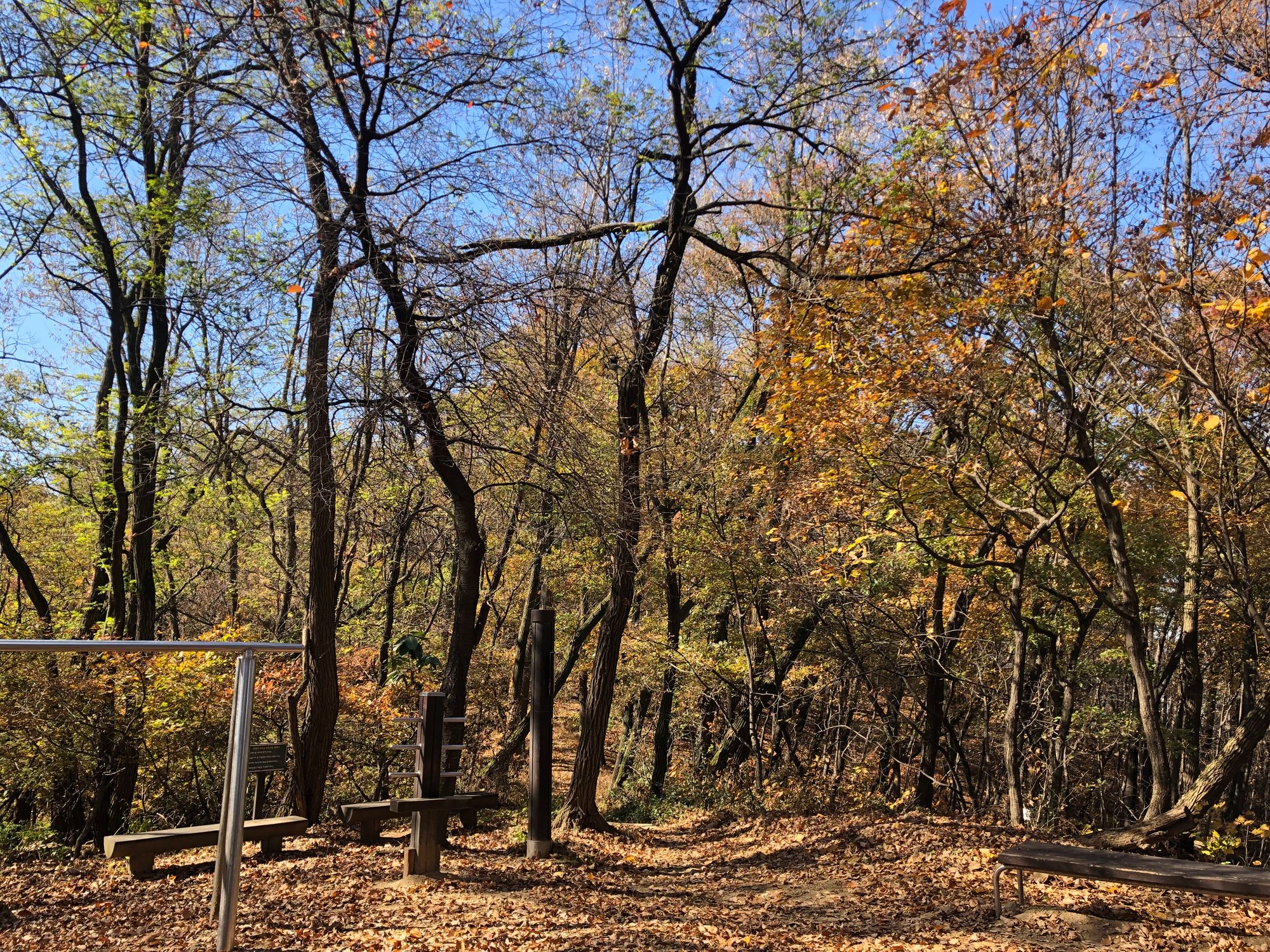 구대인(구룡산-대모산-인능산)