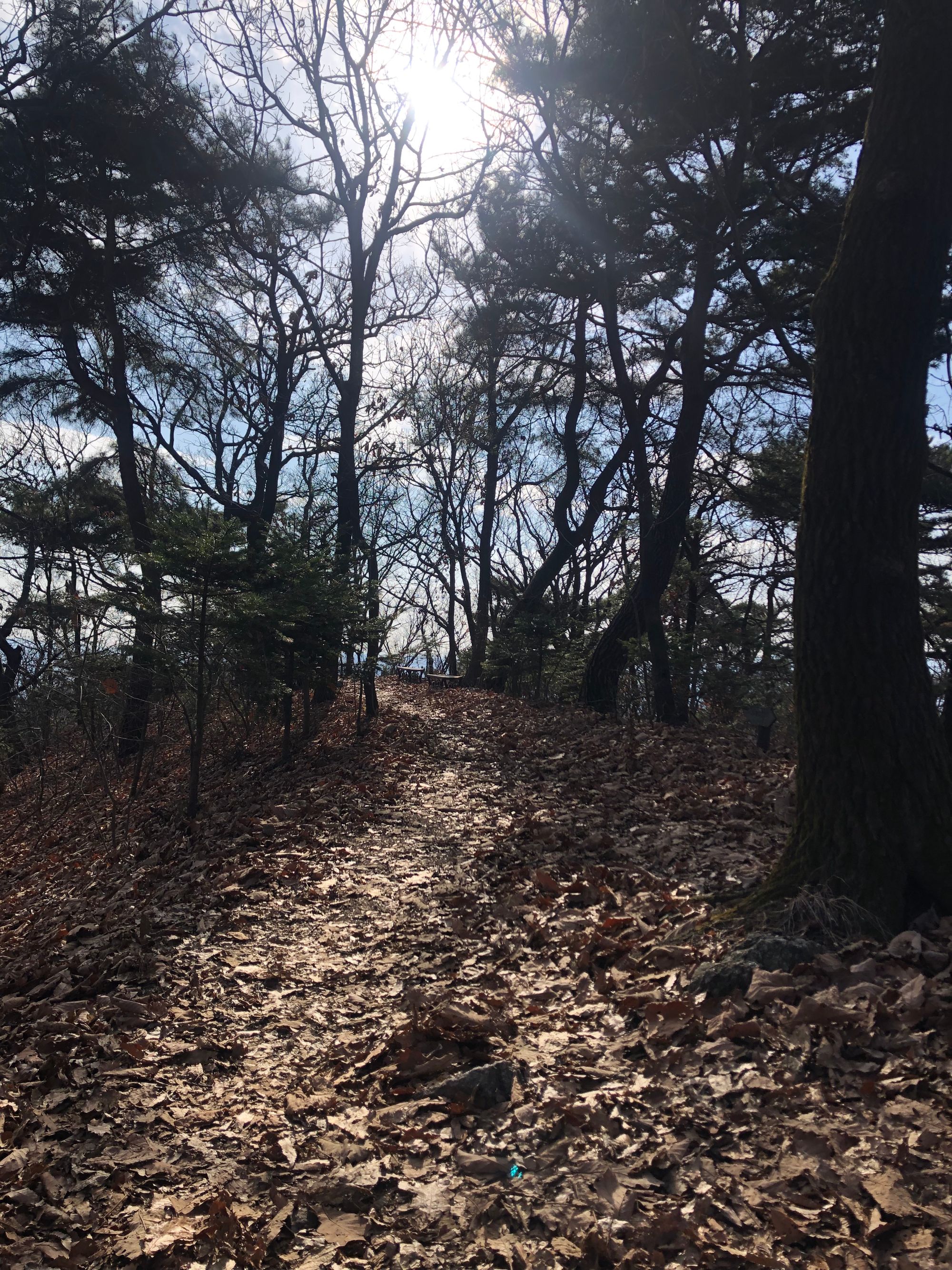 걷기 좋은 길 - 영장산에서 남한산성