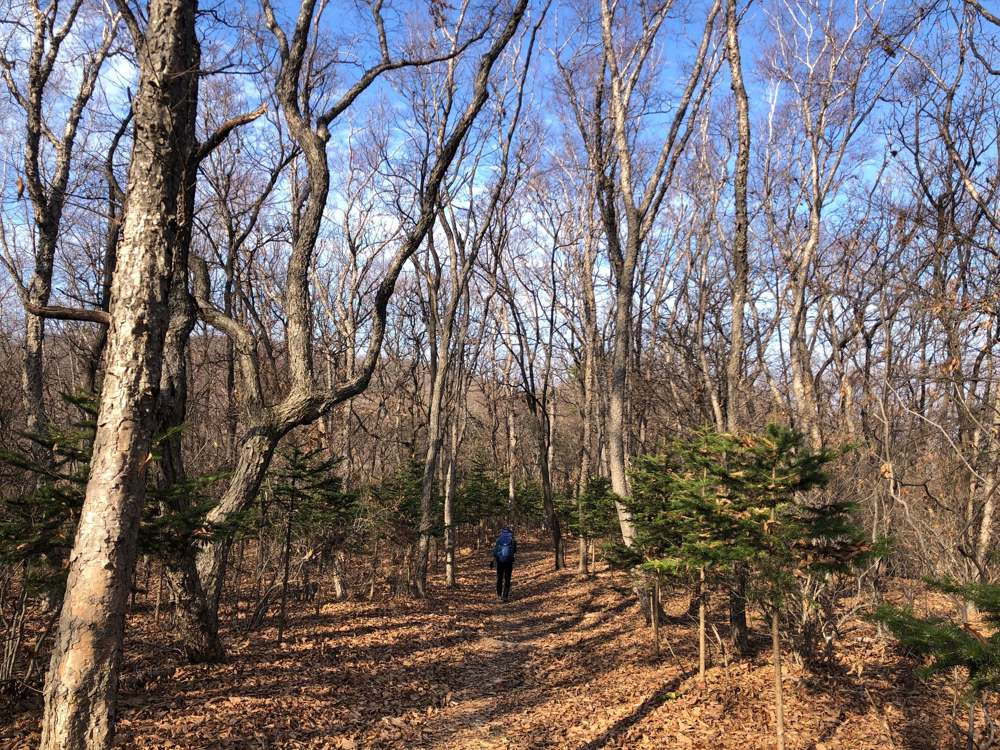 걷기 좋은 길 - 영장산에서 남한산성