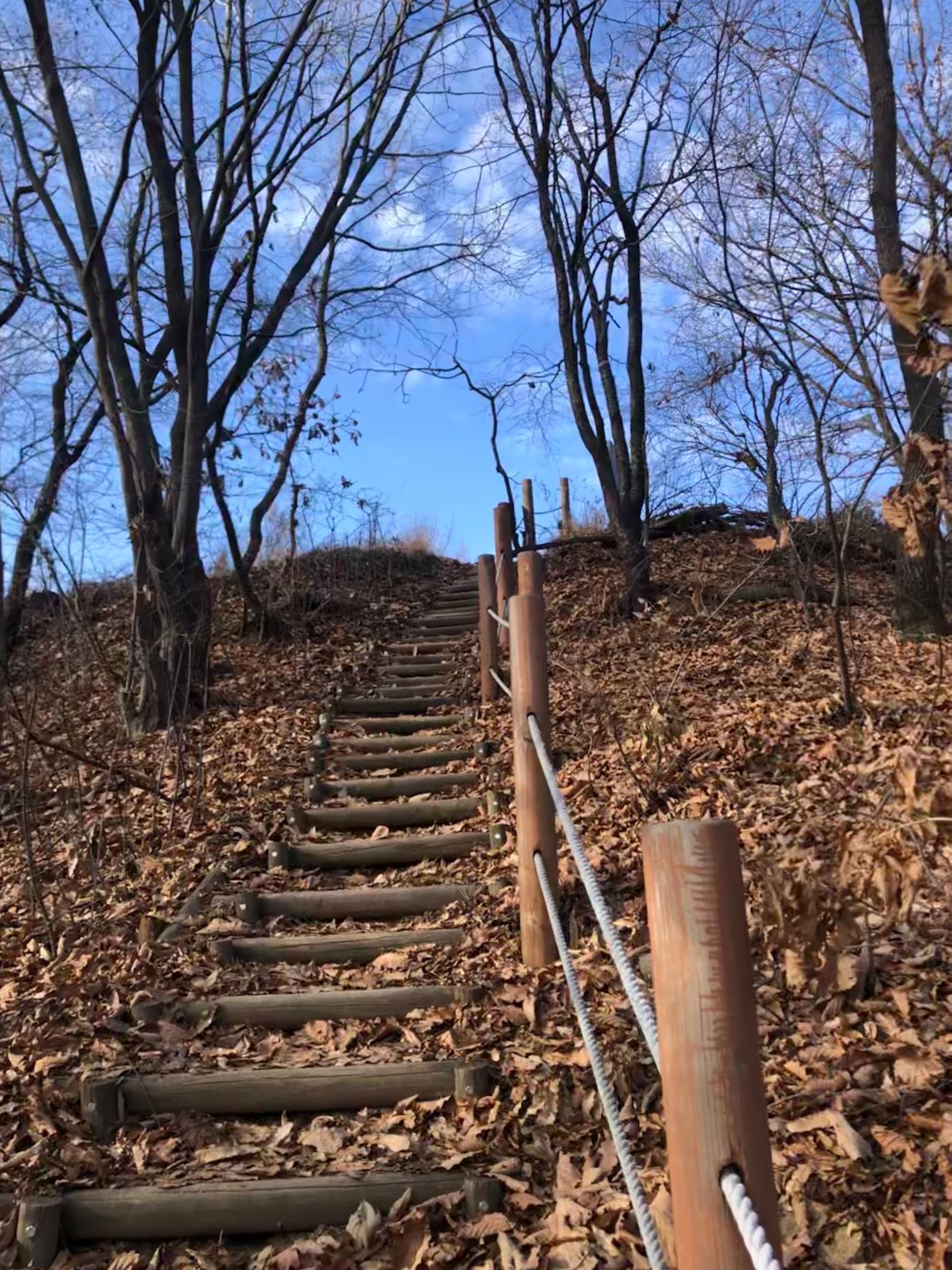 걷기 좋은 길 - 영장산에서 남한산성