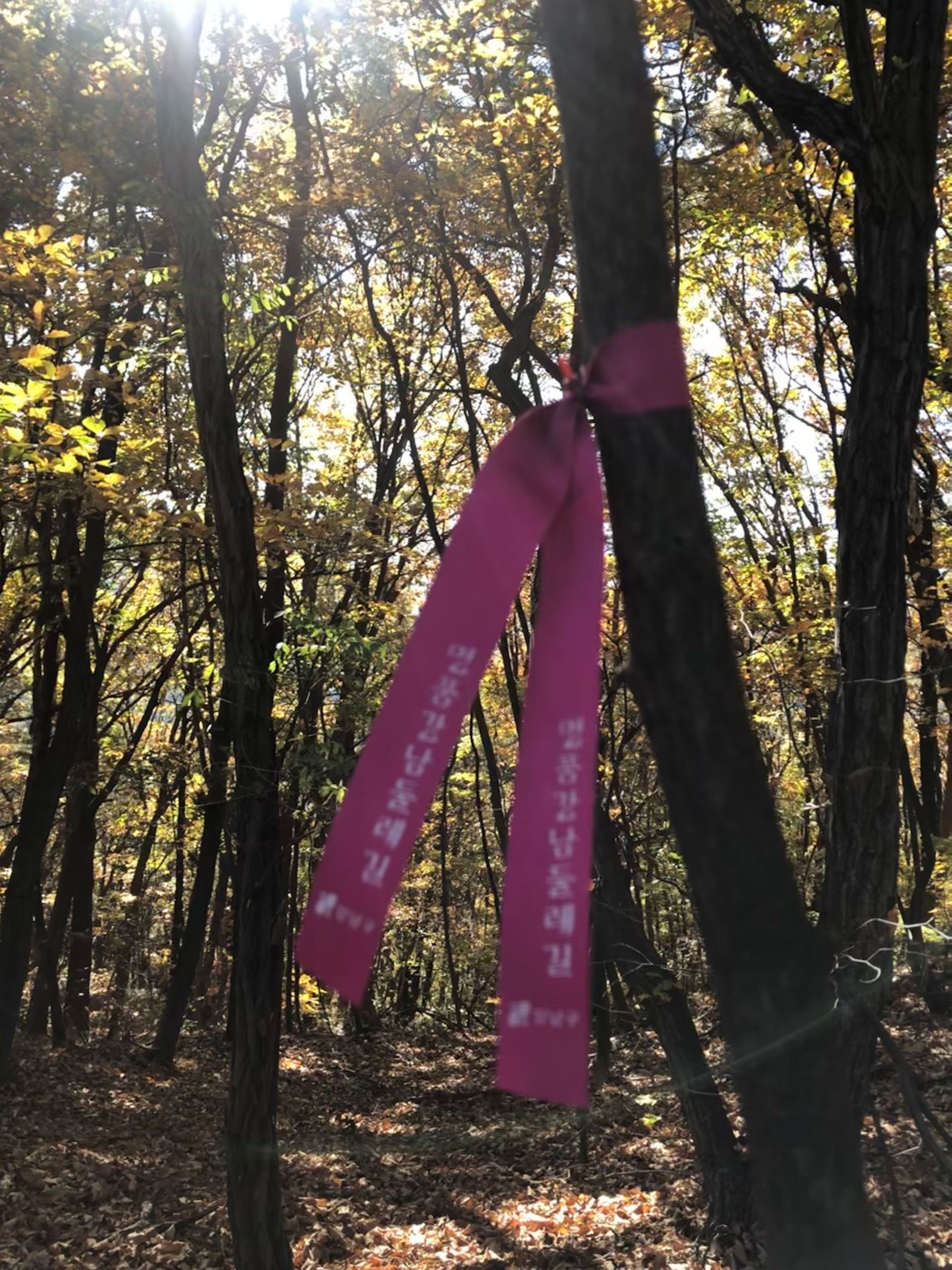 구대인(구룡산-대모산-인능산)