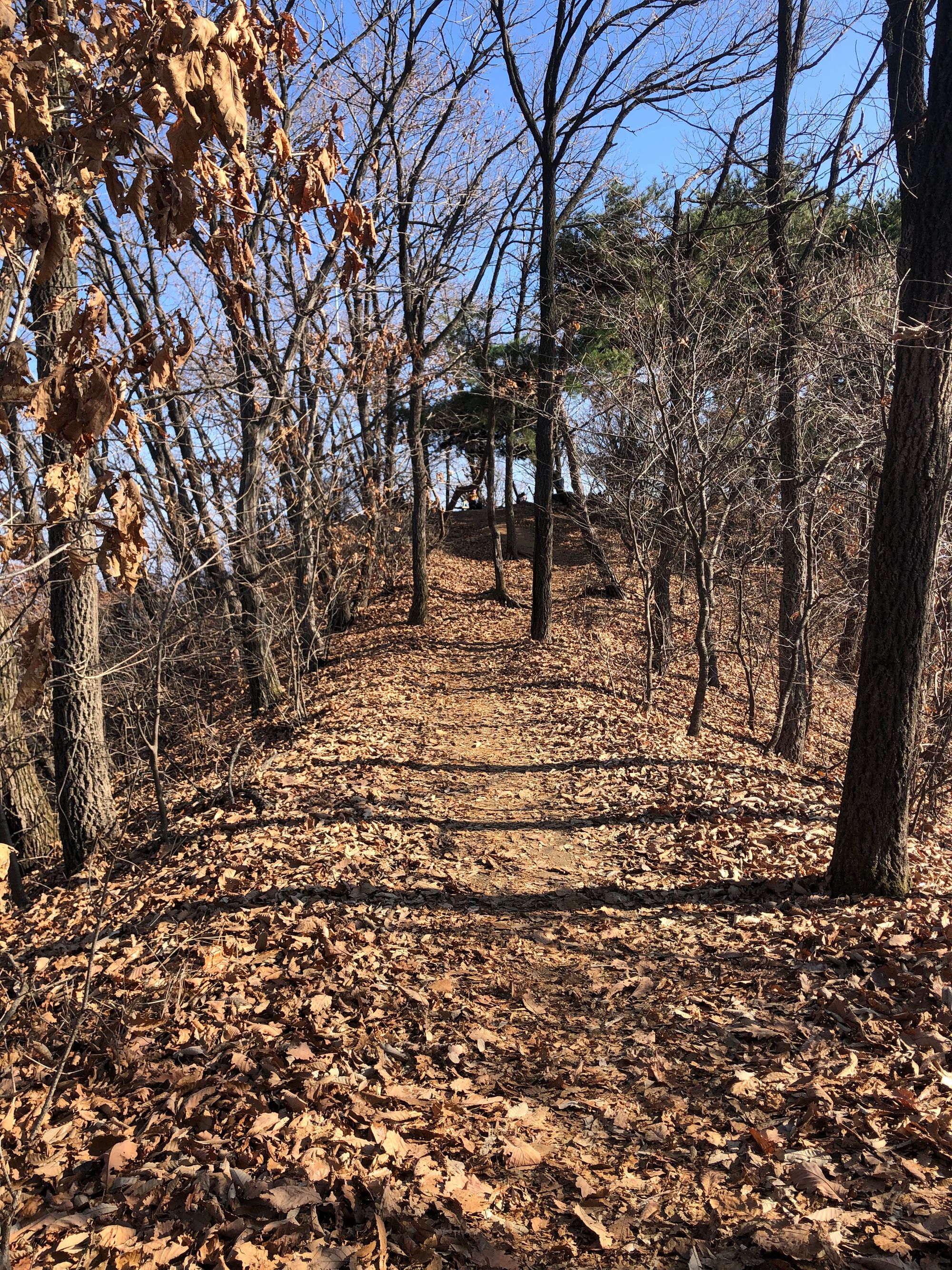 걷기 좋은 길 - 영장산에서 남한산성
