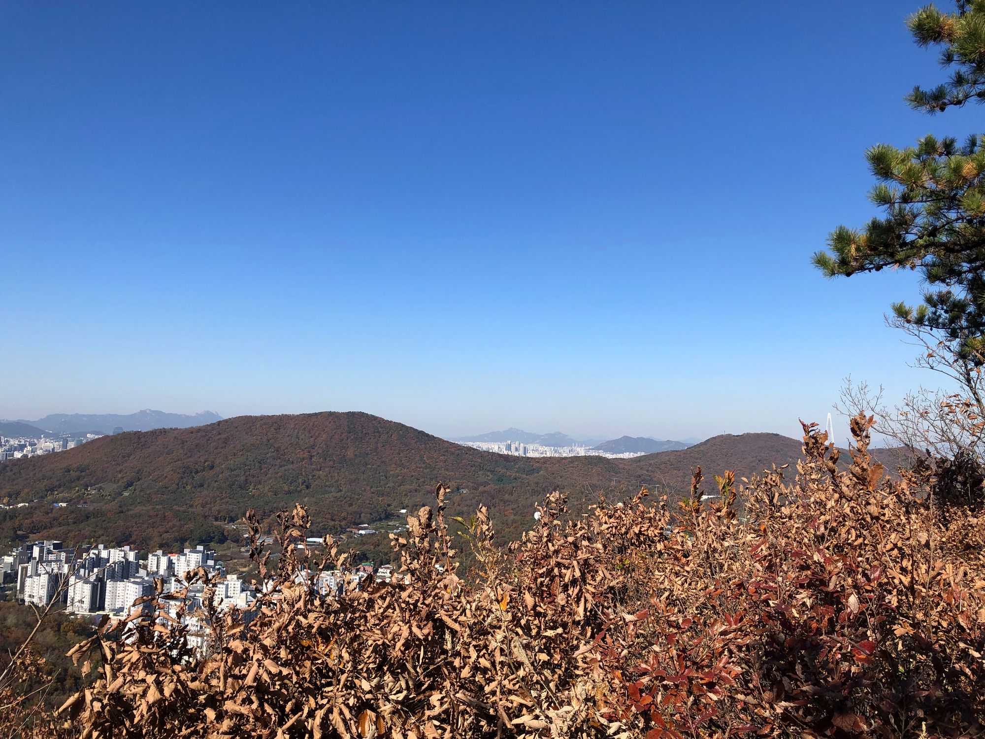 구대인(구룡산-대모산-인능산)