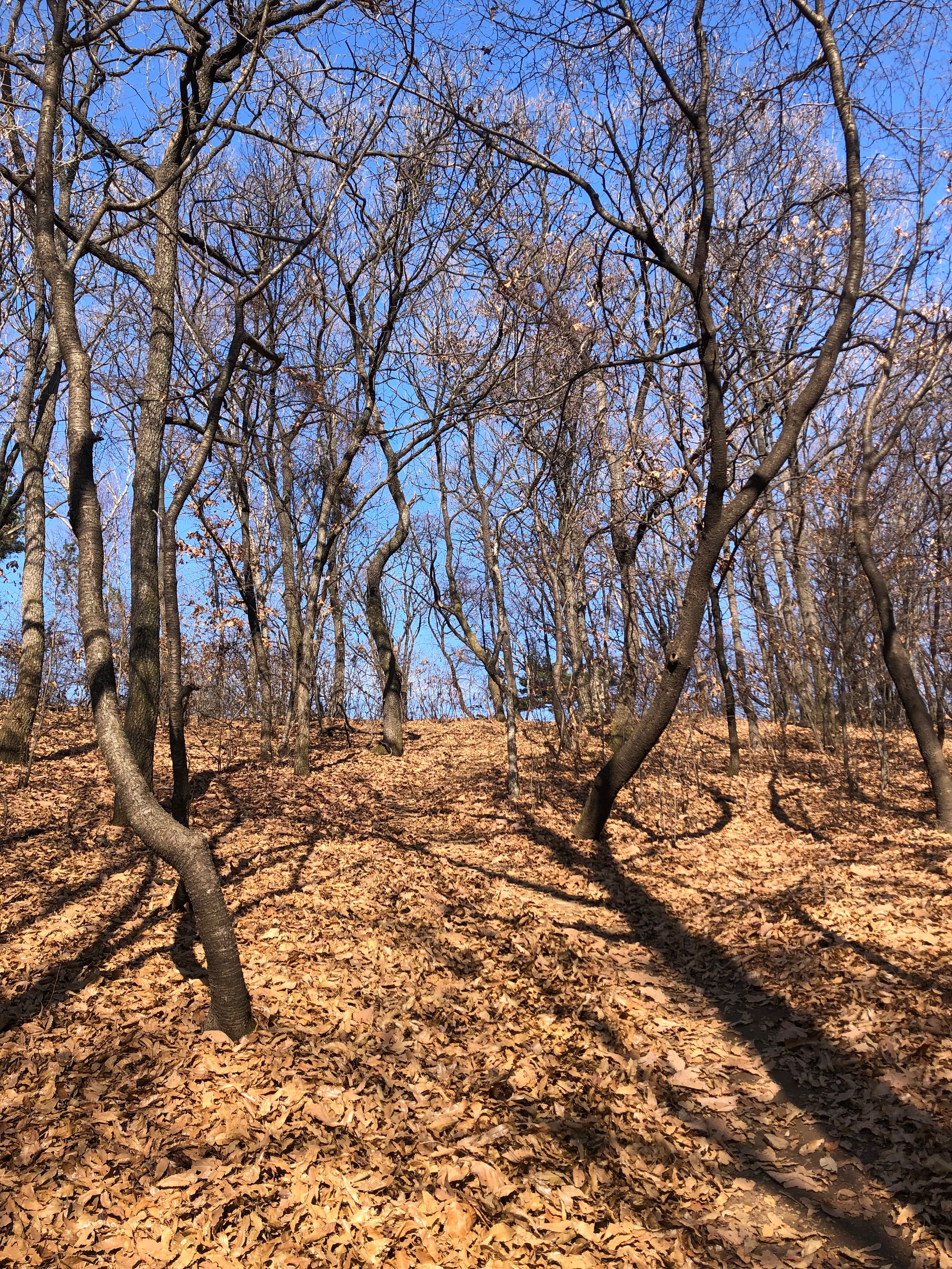 걷기 좋은 길 - 영장산에서 남한산성