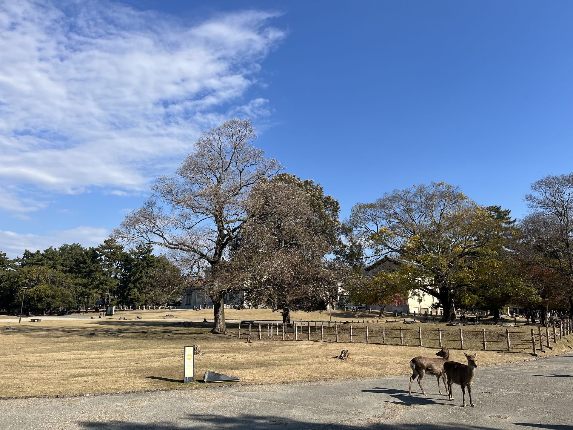간사이(오사카,교토,나라) 늦 가을