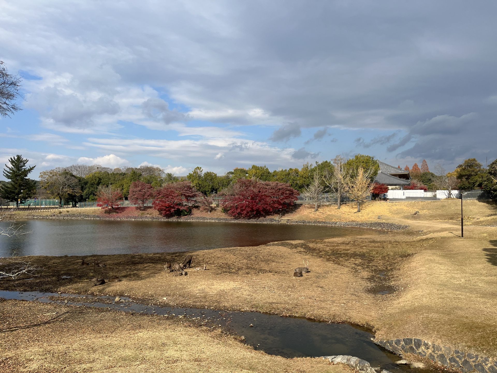간사이(오사카,교토,나라) 늦 가을