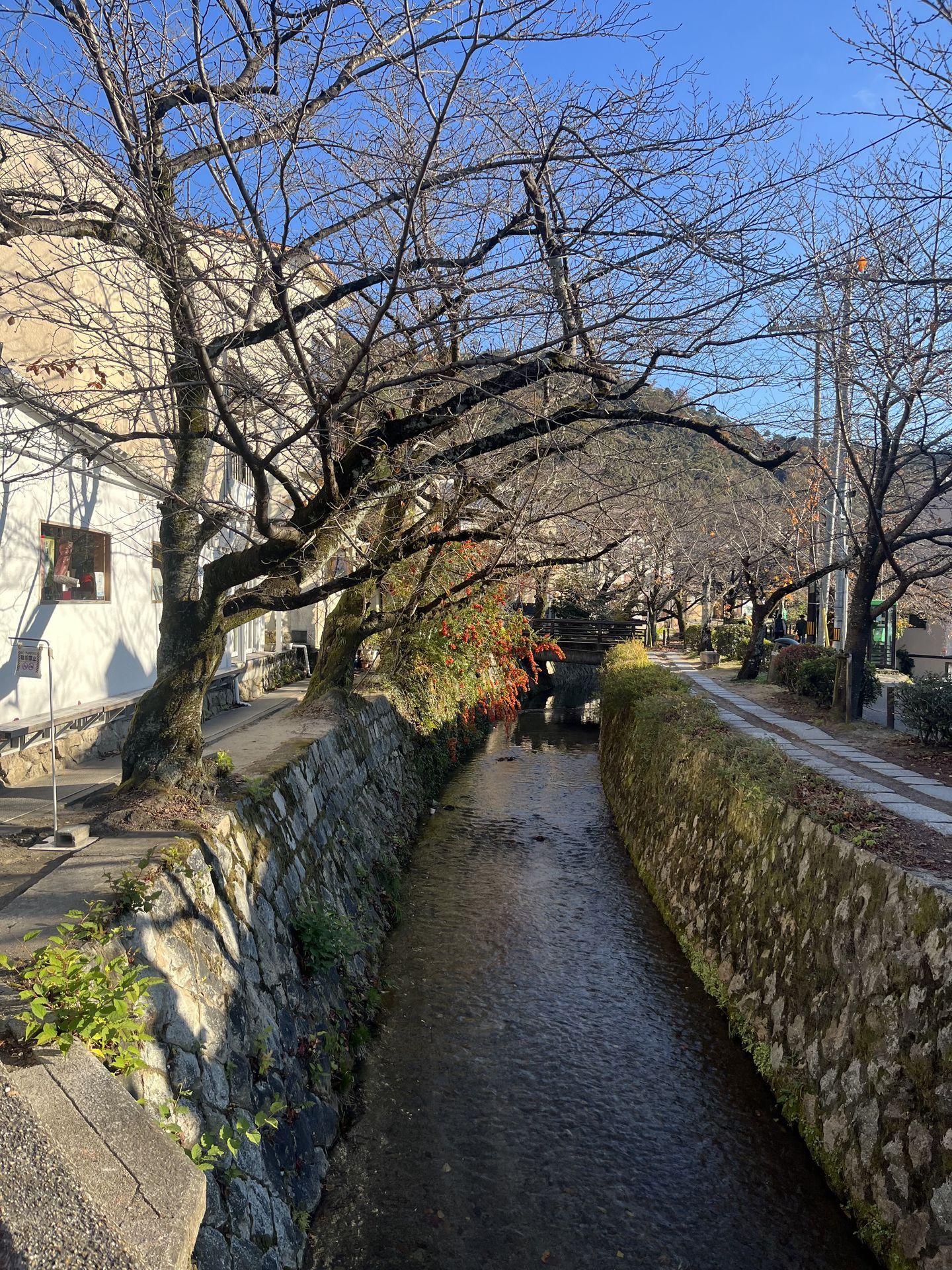 간사이(오사카,교토,나라) 늦 가을