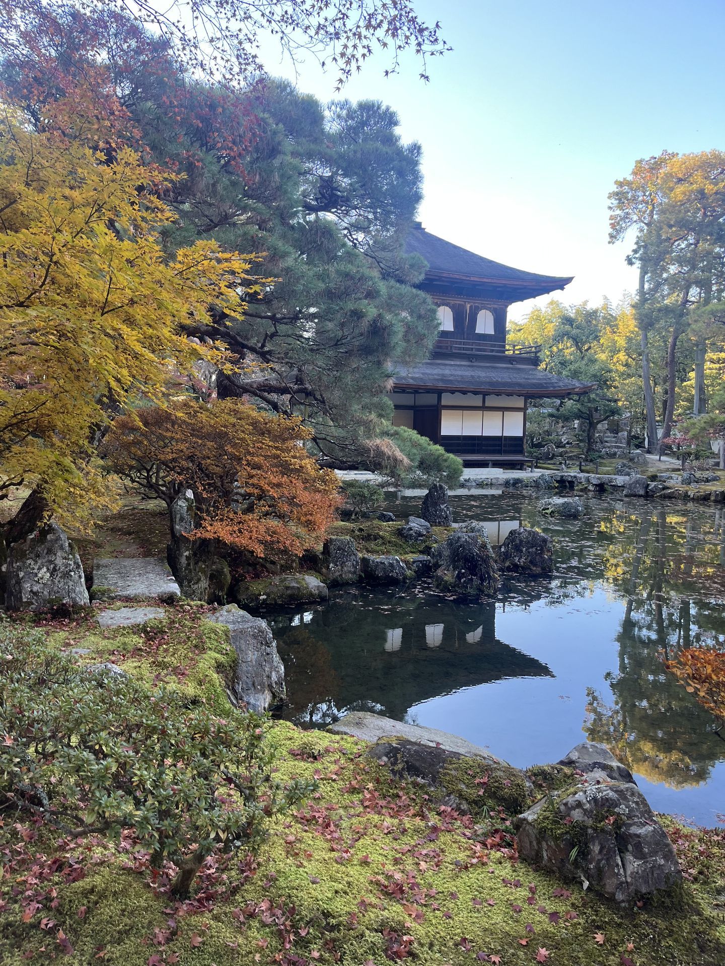 간사이(오사카,교토,나라) 늦 가을