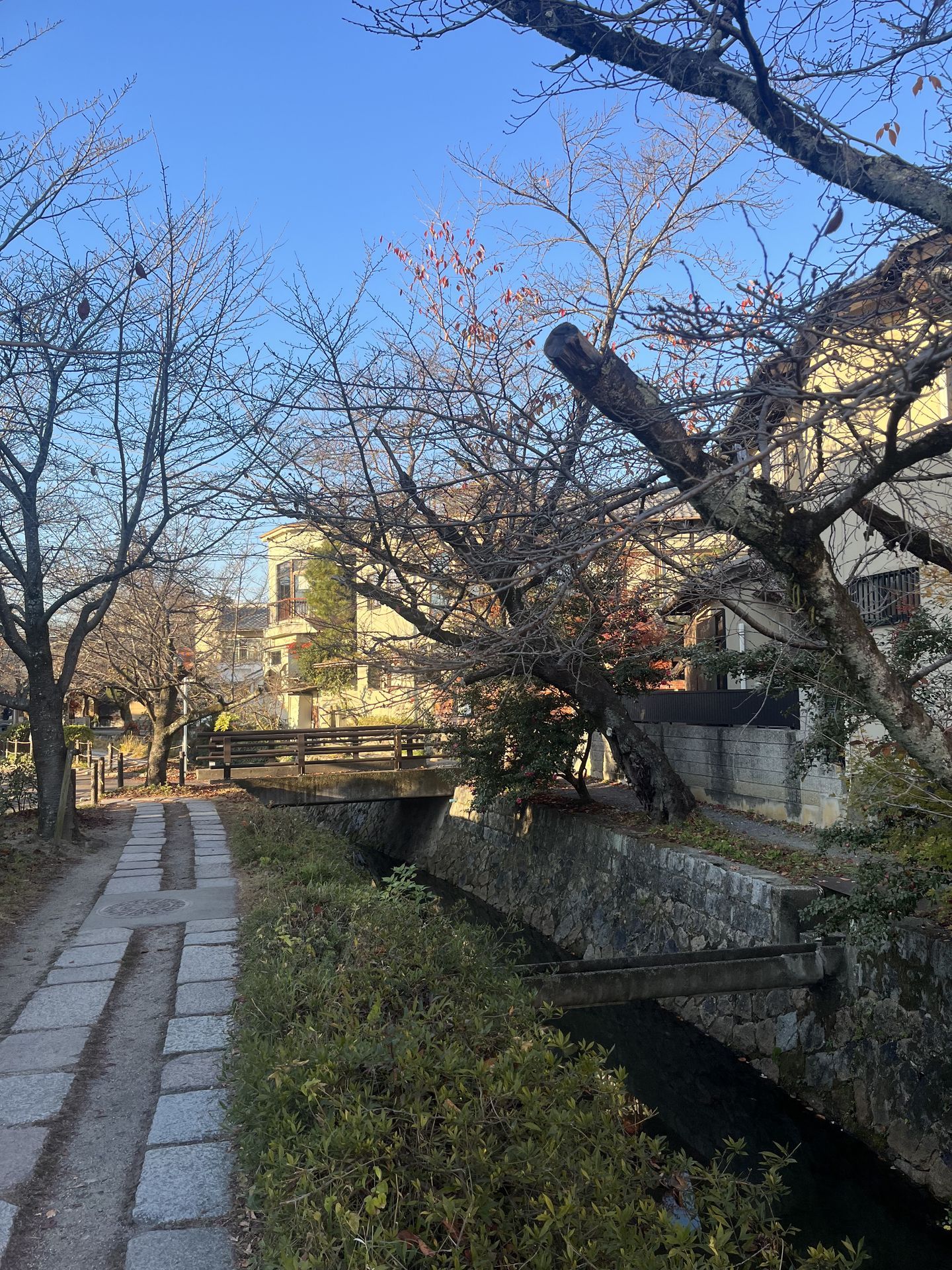 간사이(오사카,교토,나라) 늦 가을