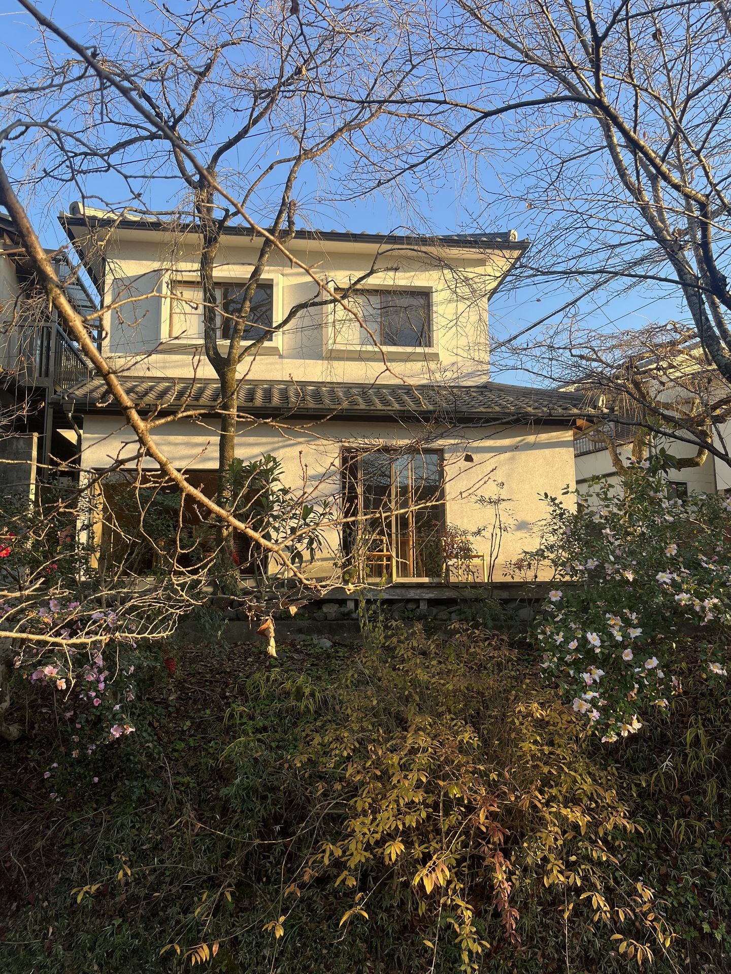 간사이(오사카,교토,나라) 늦 가을