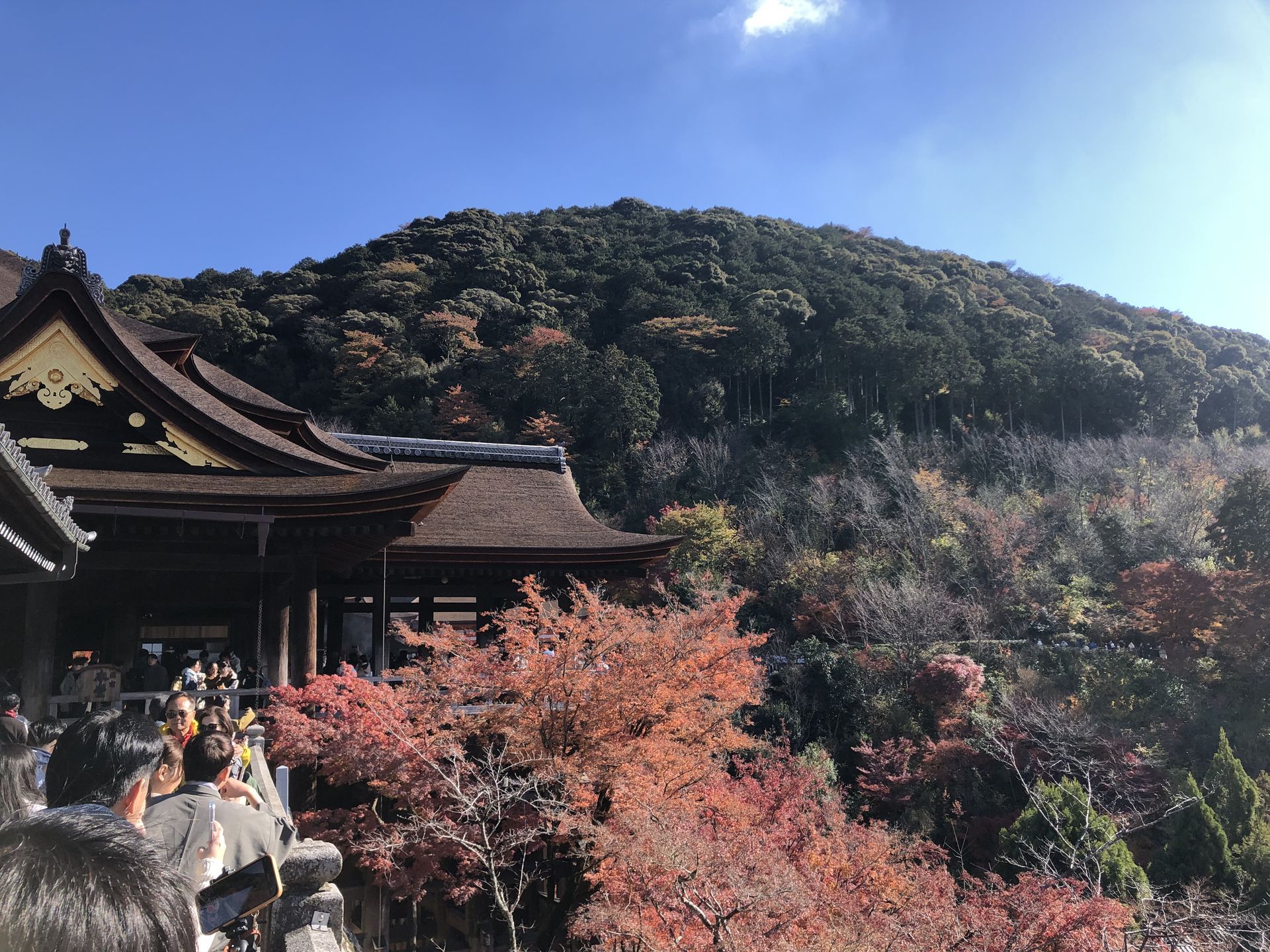 간사이(오사카,교토,나라) 늦 가을