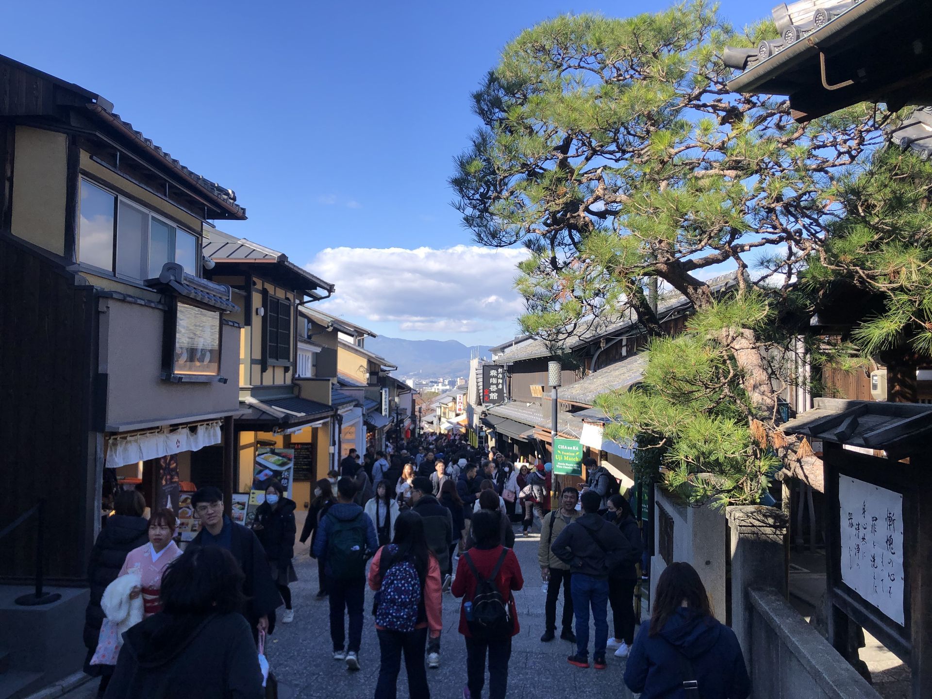 간사이(오사카,교토,나라) 늦 가을