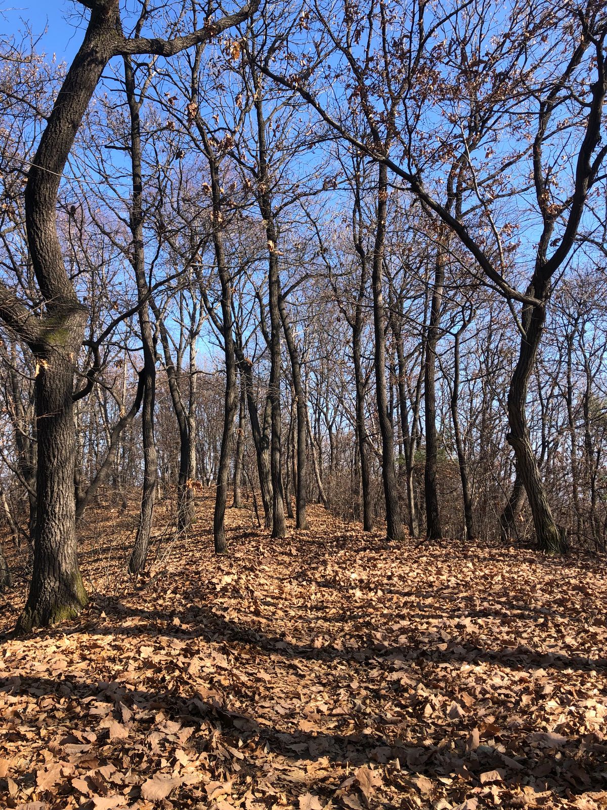 걷기 좋은 길 - 영장산에서 남한산성